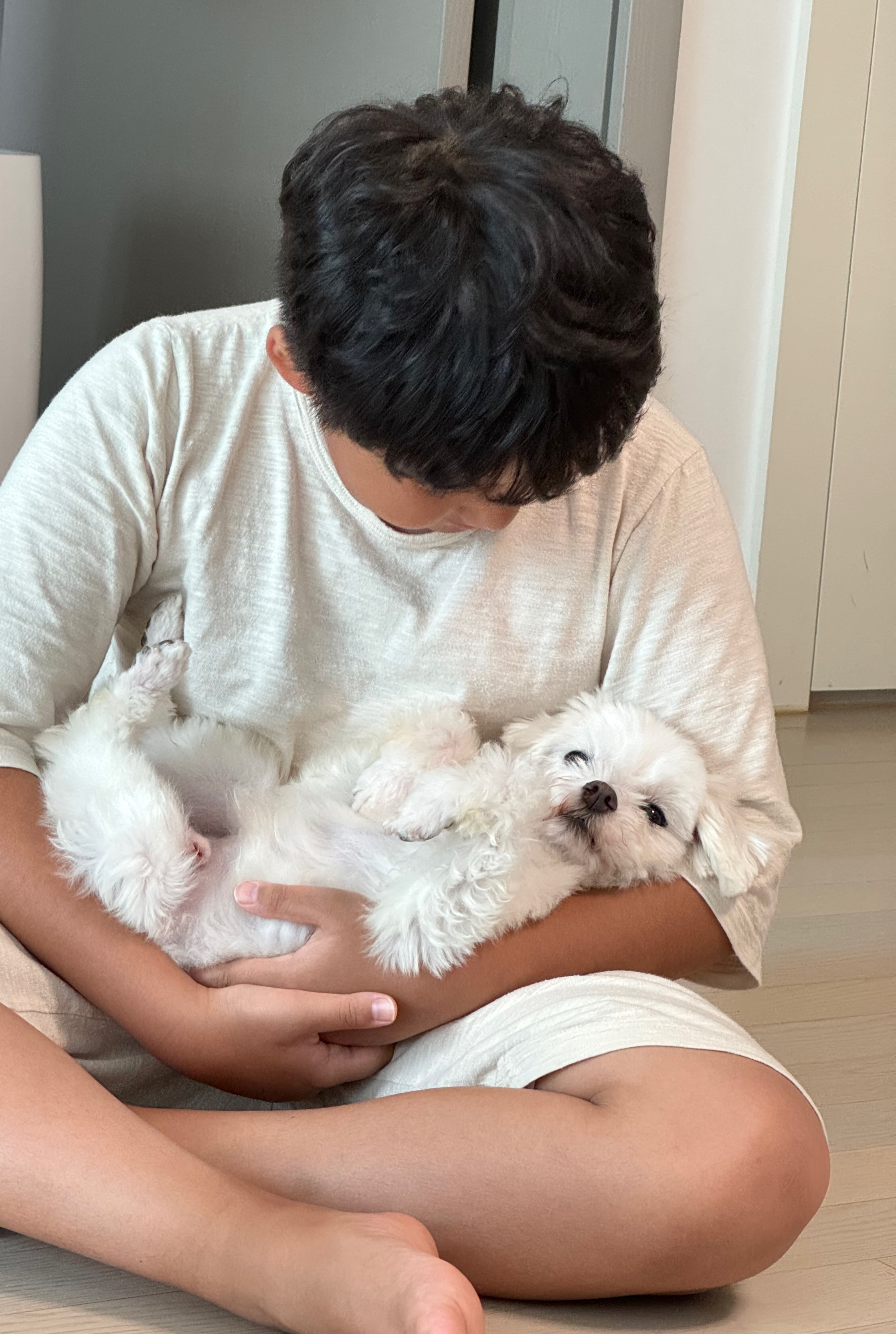 하코 일주일 됐어요~(임보 7일차)