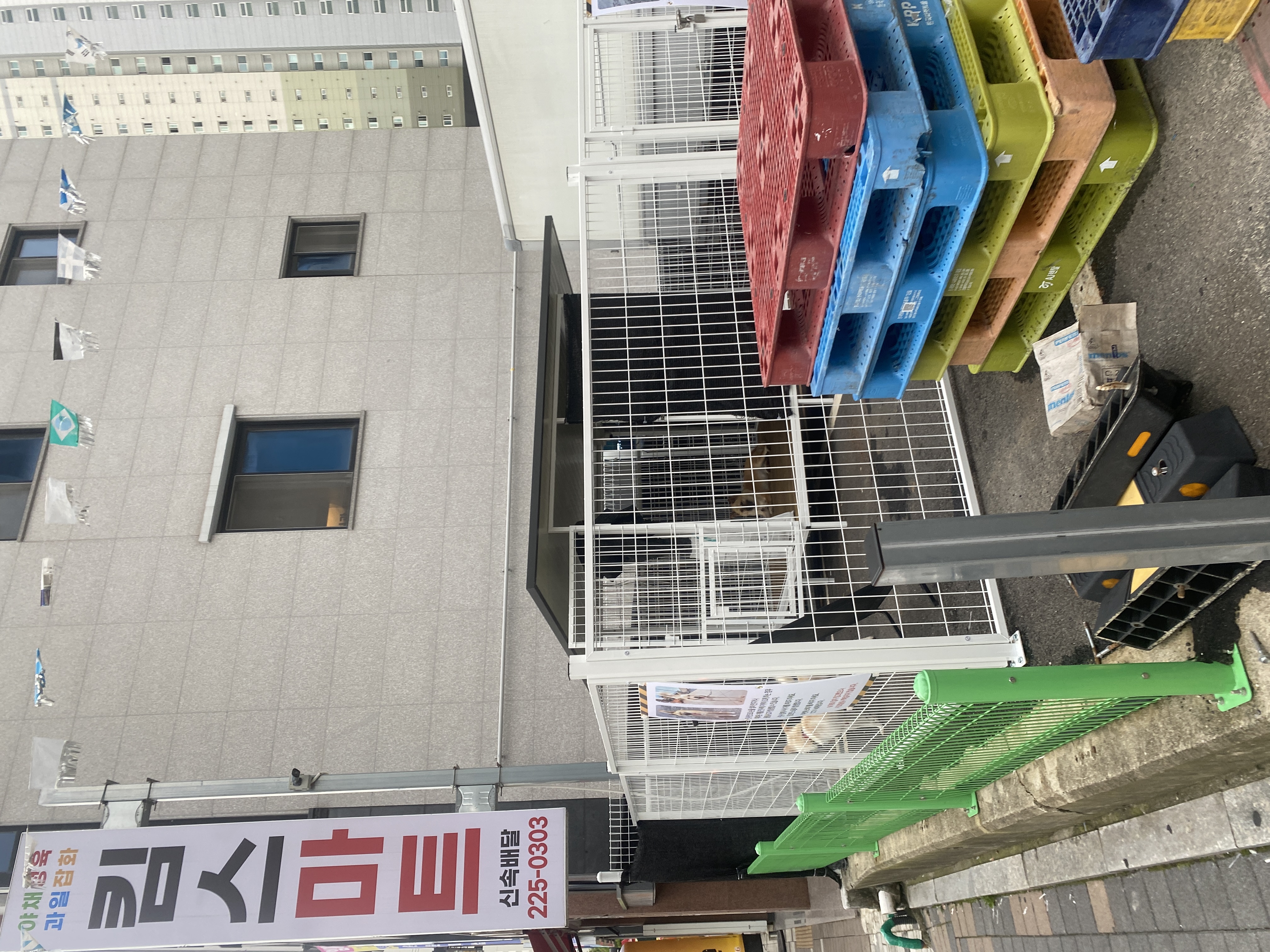 산책 없이 뜨거운 날씨에 야외에사