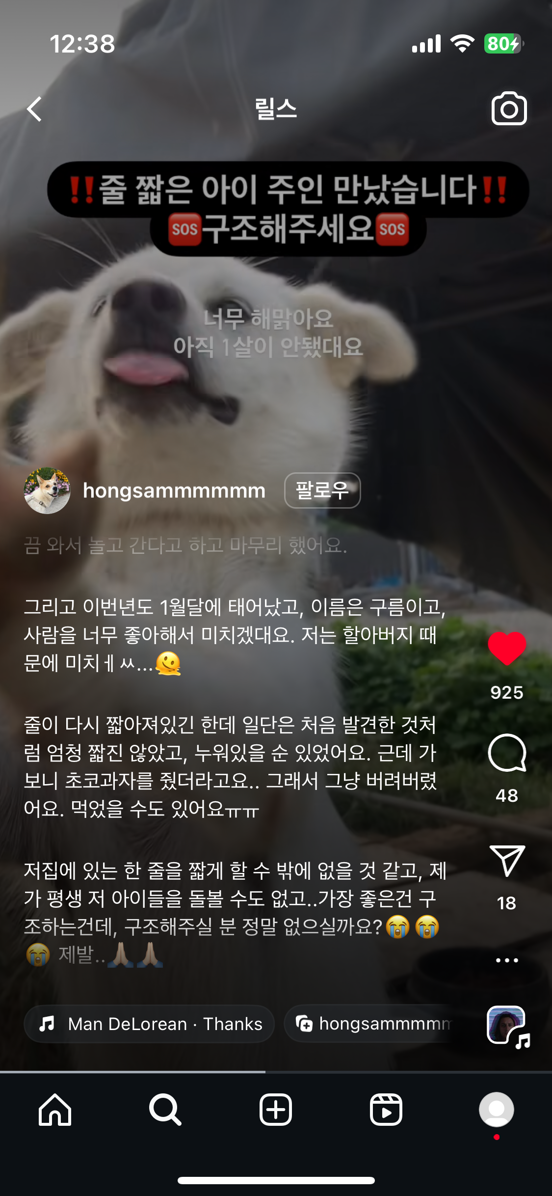 시골에서 짧은목줄로 잠도 제대로 못자는 방치견을 구조해주세요