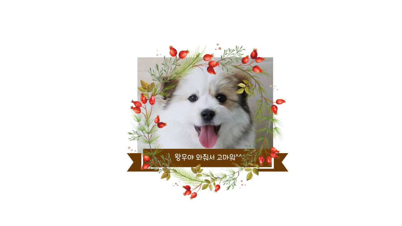 왕무와의 행복한 일년^^