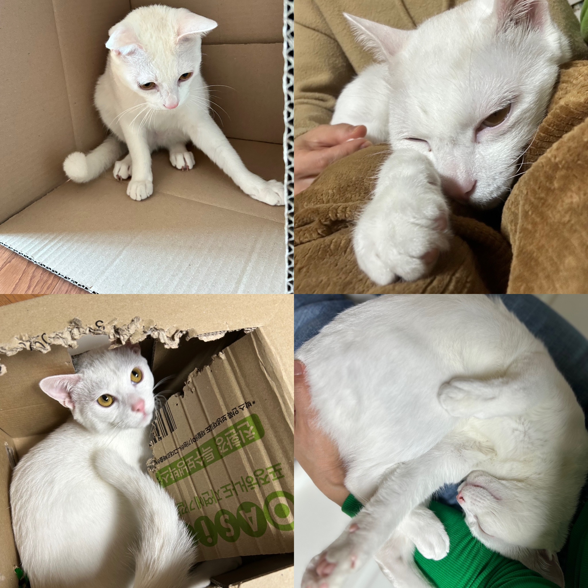 다윈, 오늘로 1년