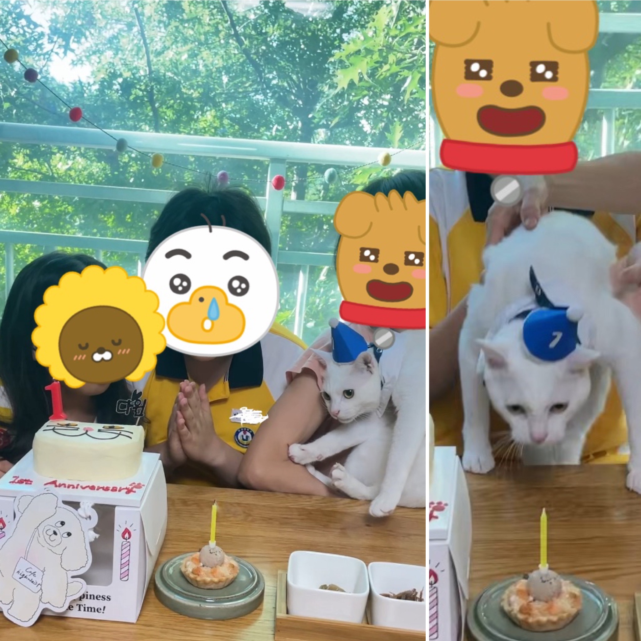 다윈, 오늘로 1년