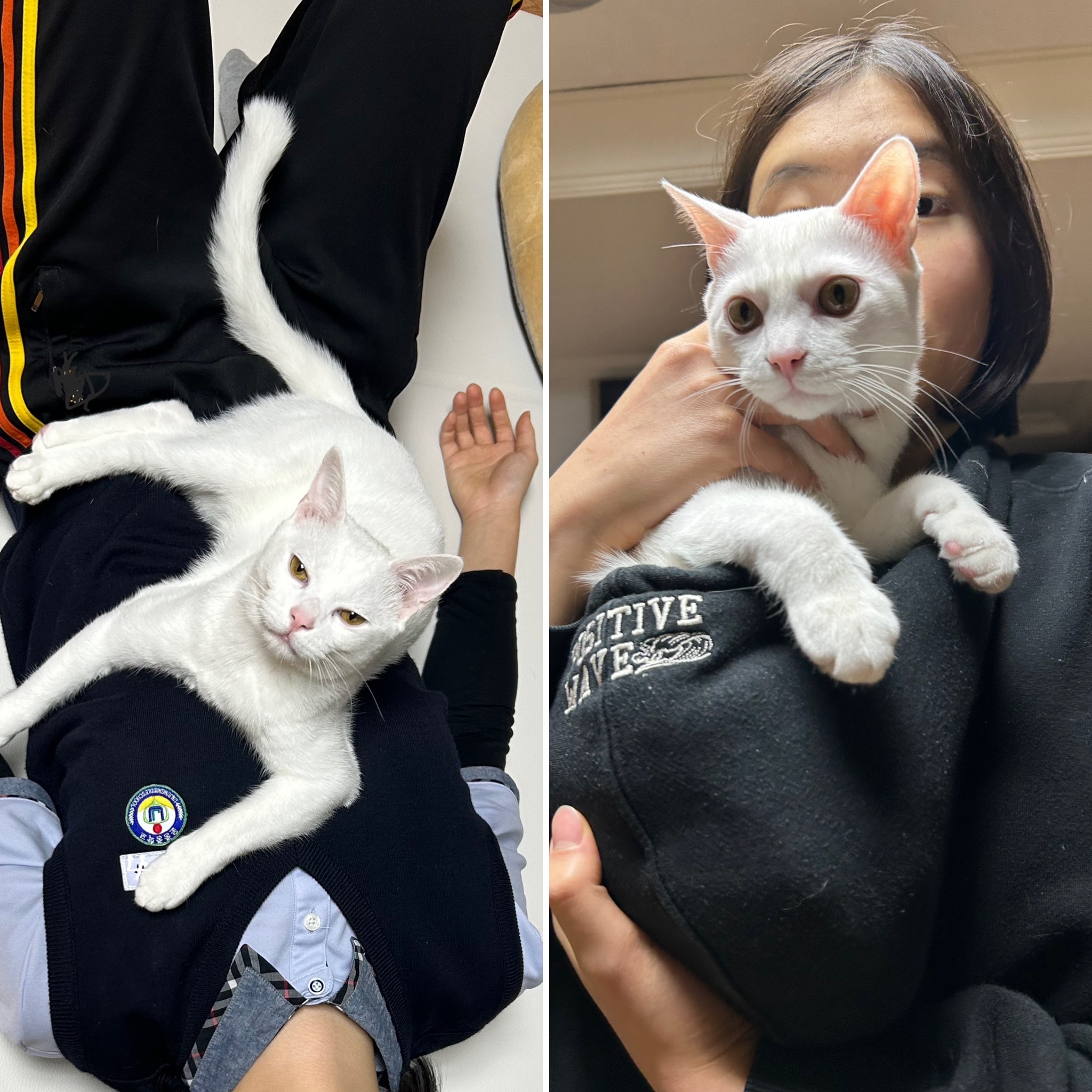 다윈, 오늘로 1년