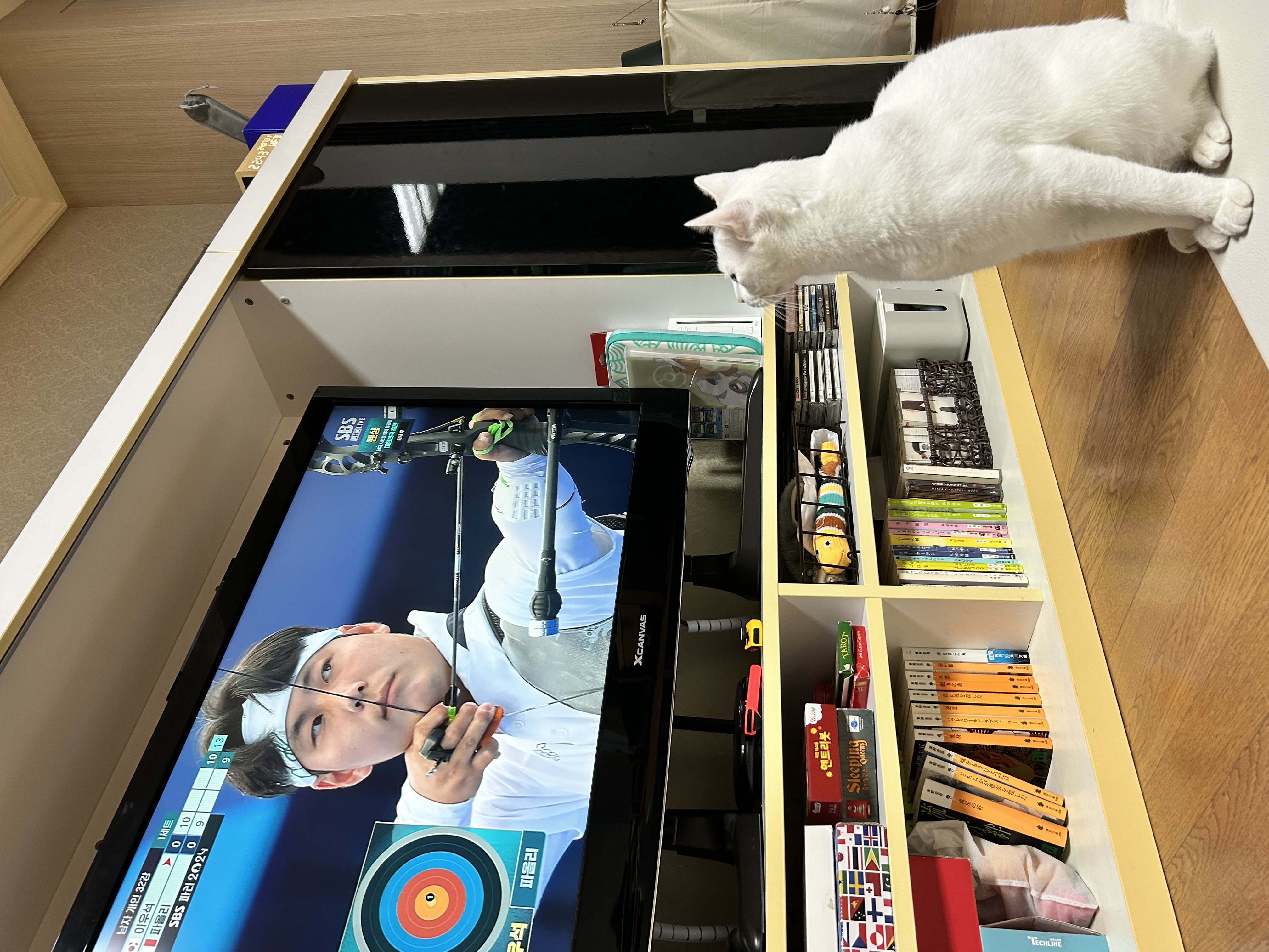 다윈, 오늘로 1년
