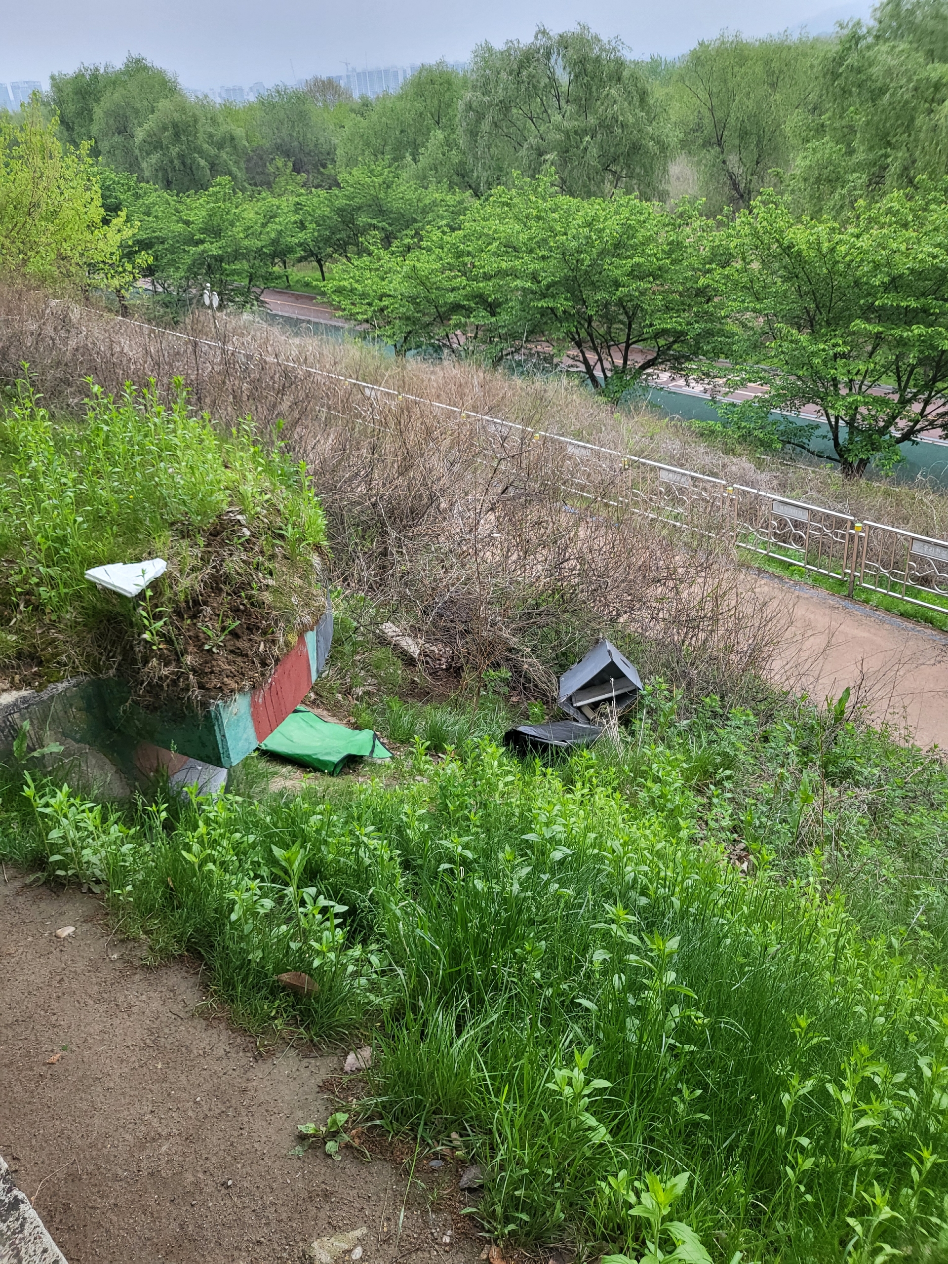 길냥이 급식소  철거 공고및 학대