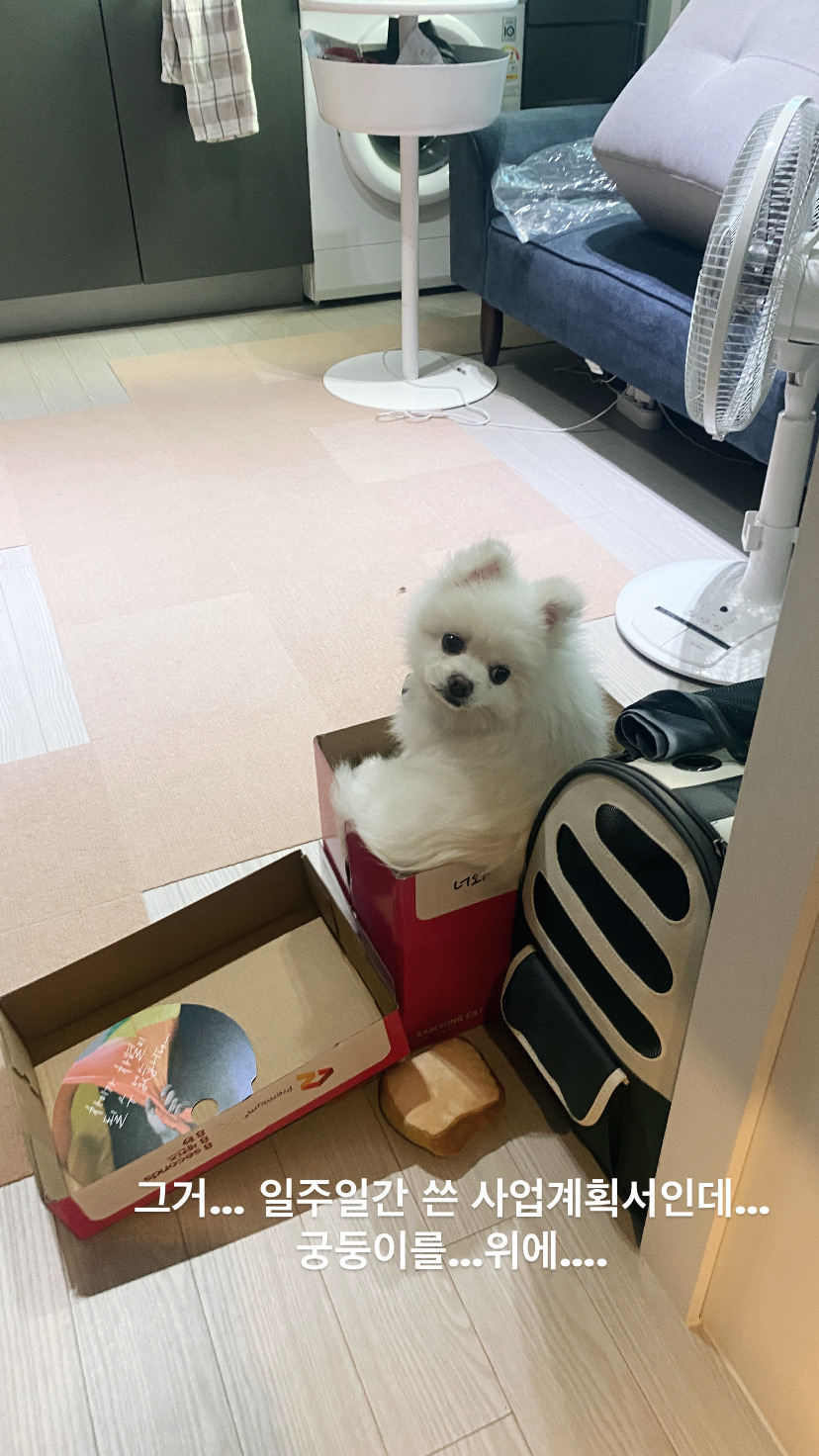 요키 임보 1개월차