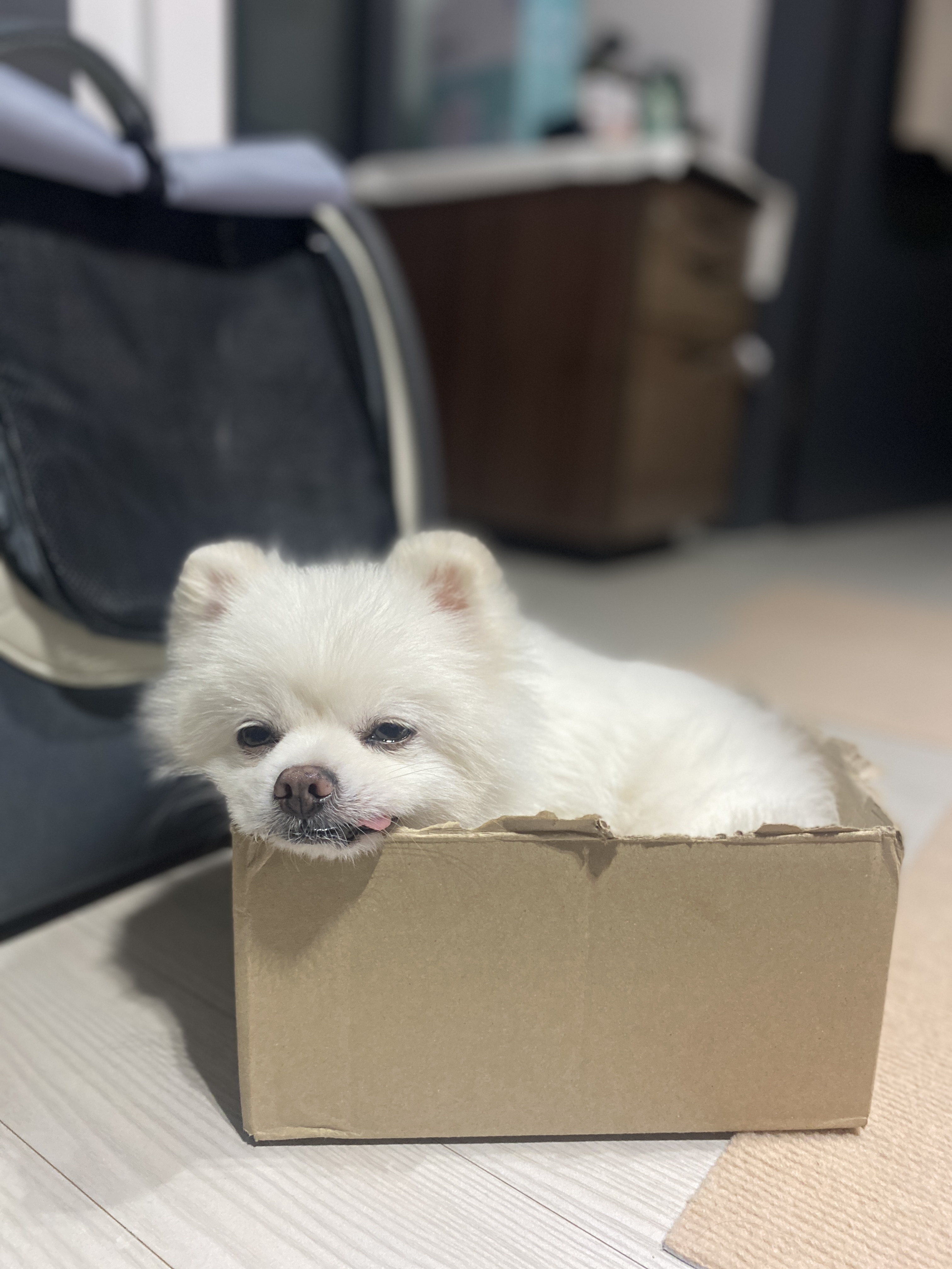 요키 임보 1개월차