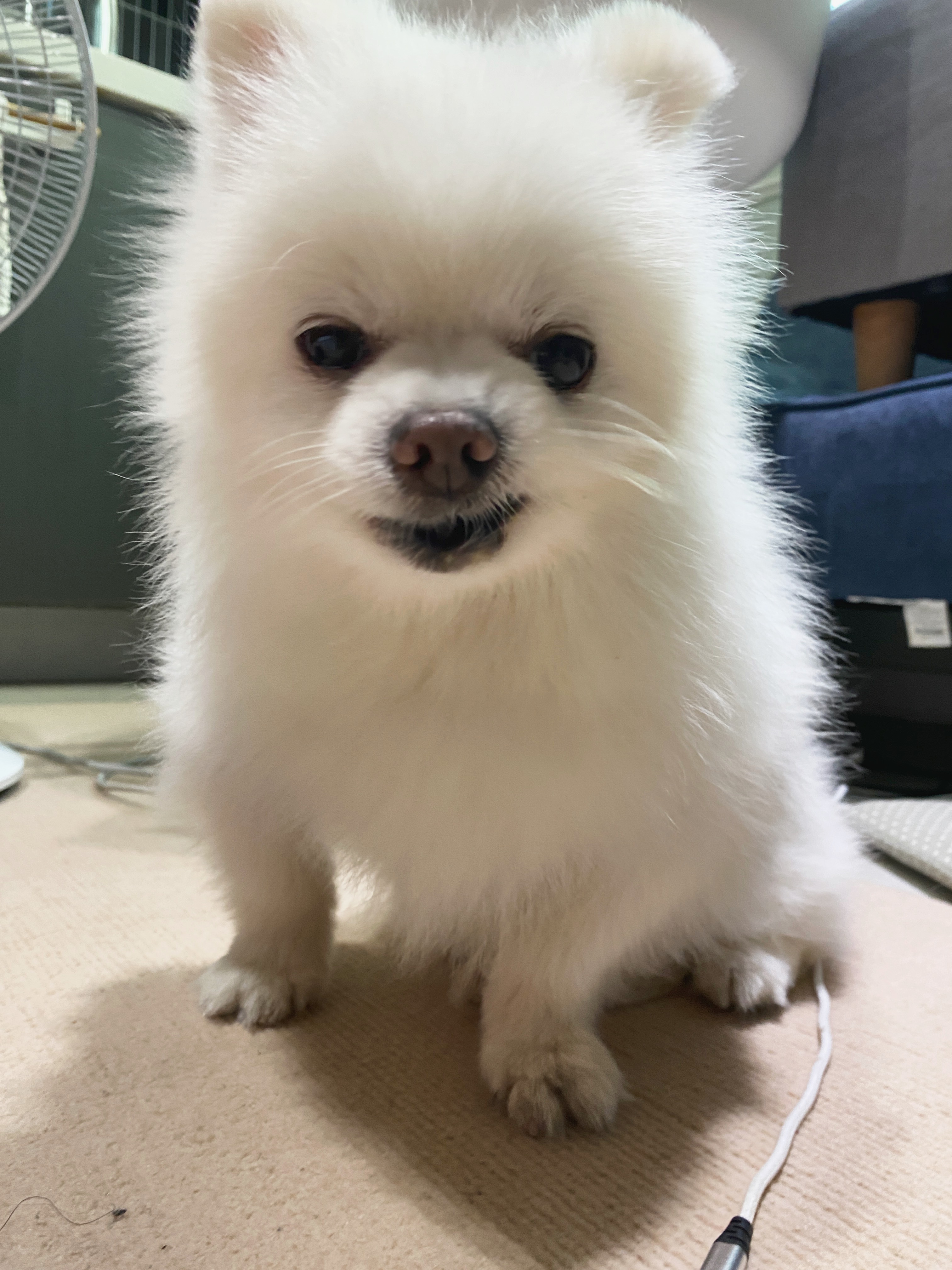 요키 임보 1개월차