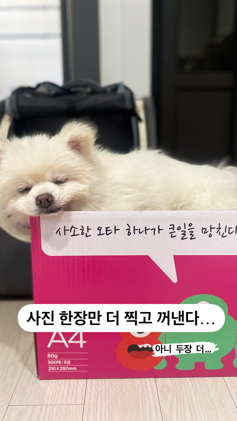 요키 임보 1개월차