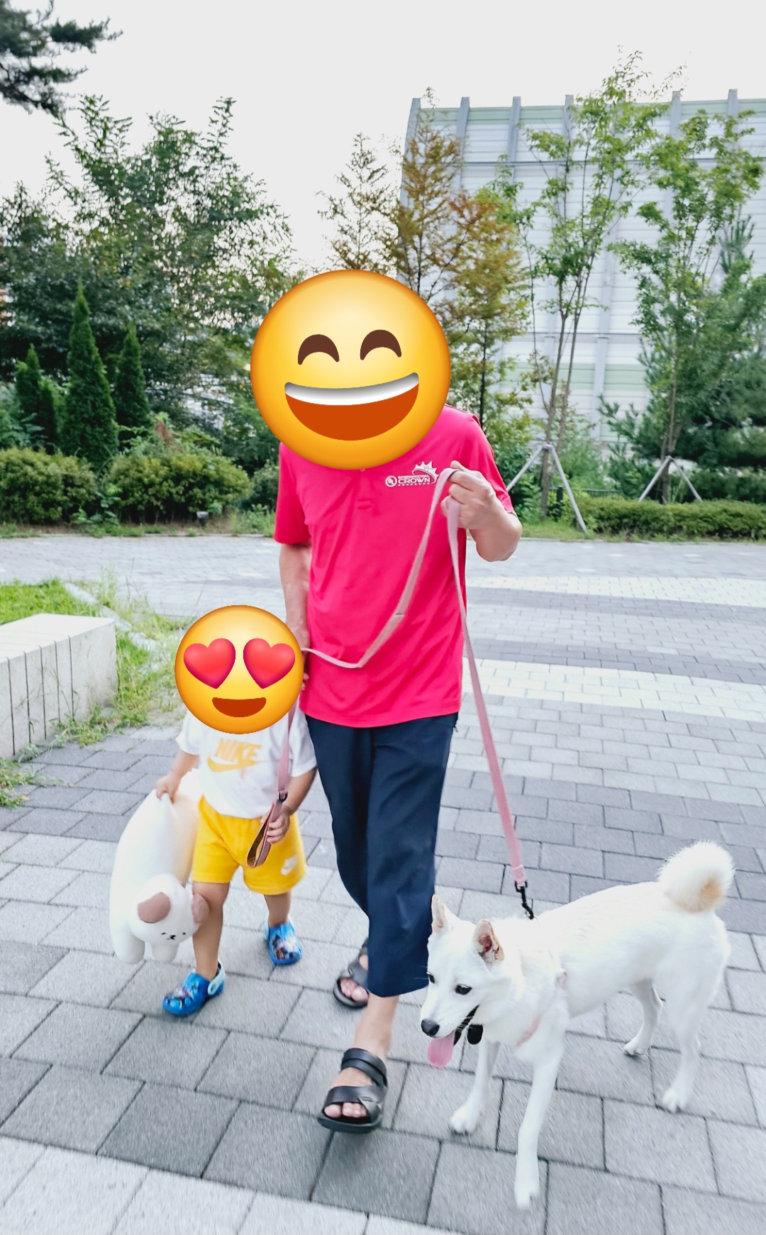 행복이(하온이) 입양 3개월 후기