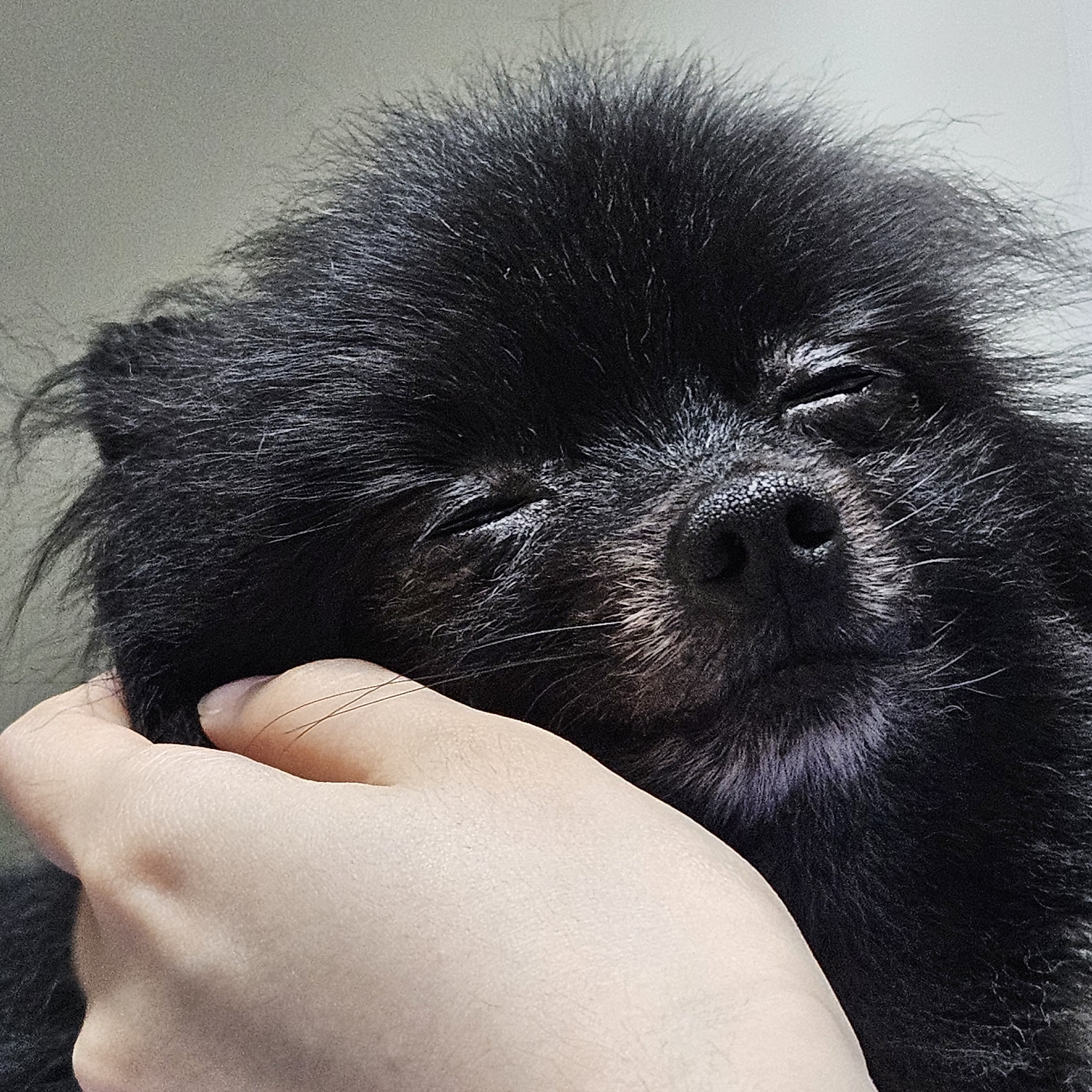 까곰이 세달