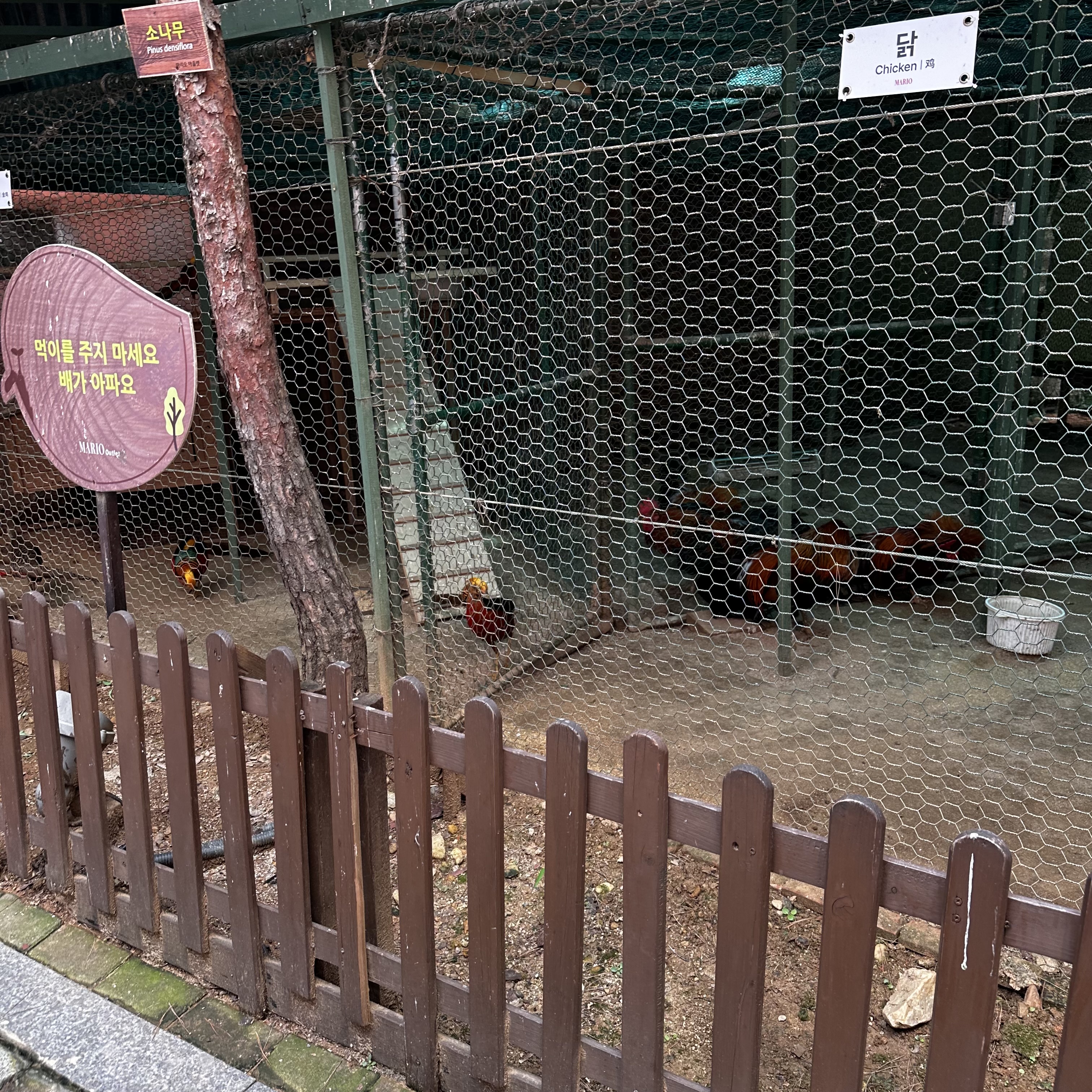 M아울렛 야외 동물 전시