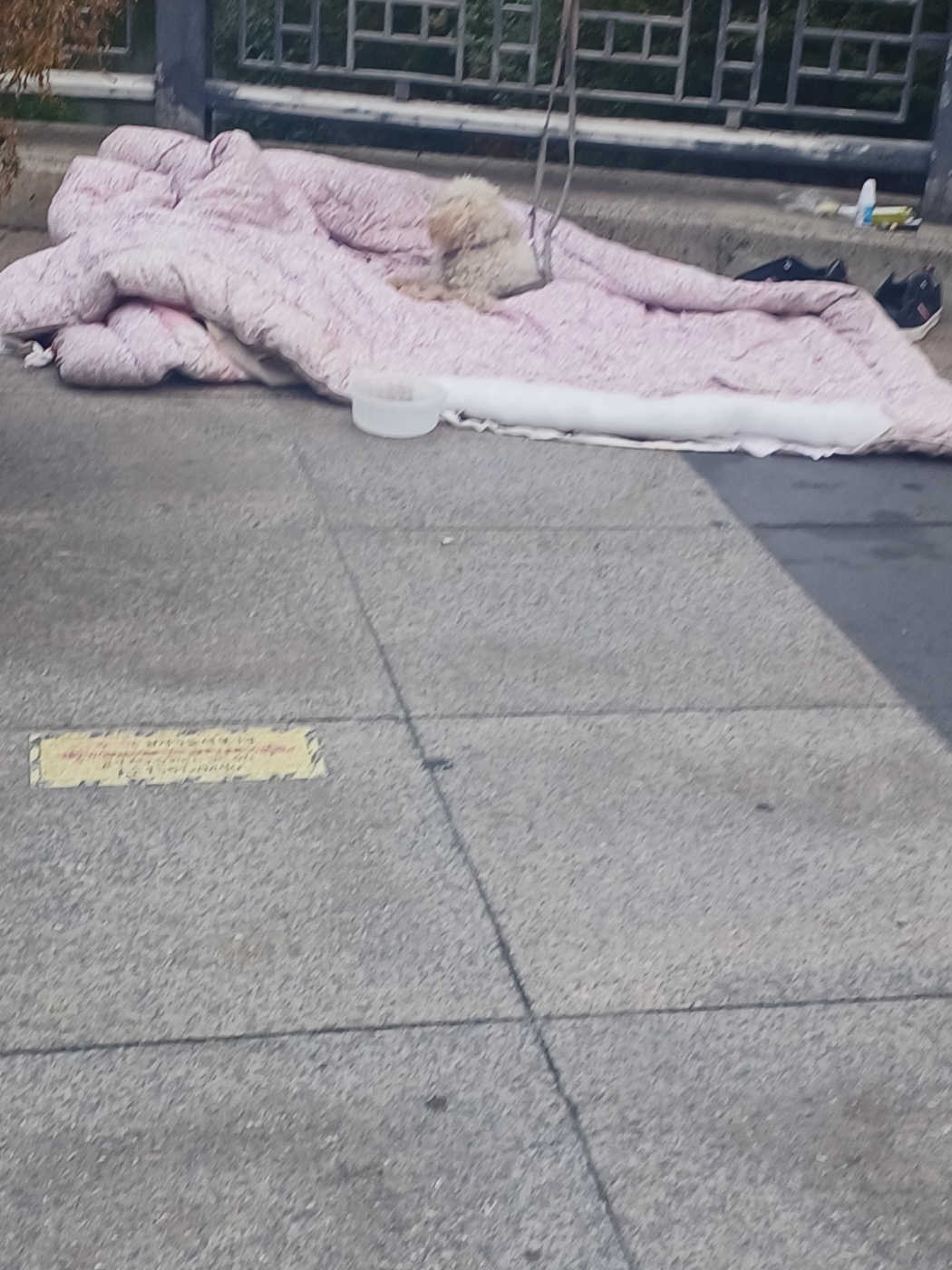 긴급구조가 필요합니다.
