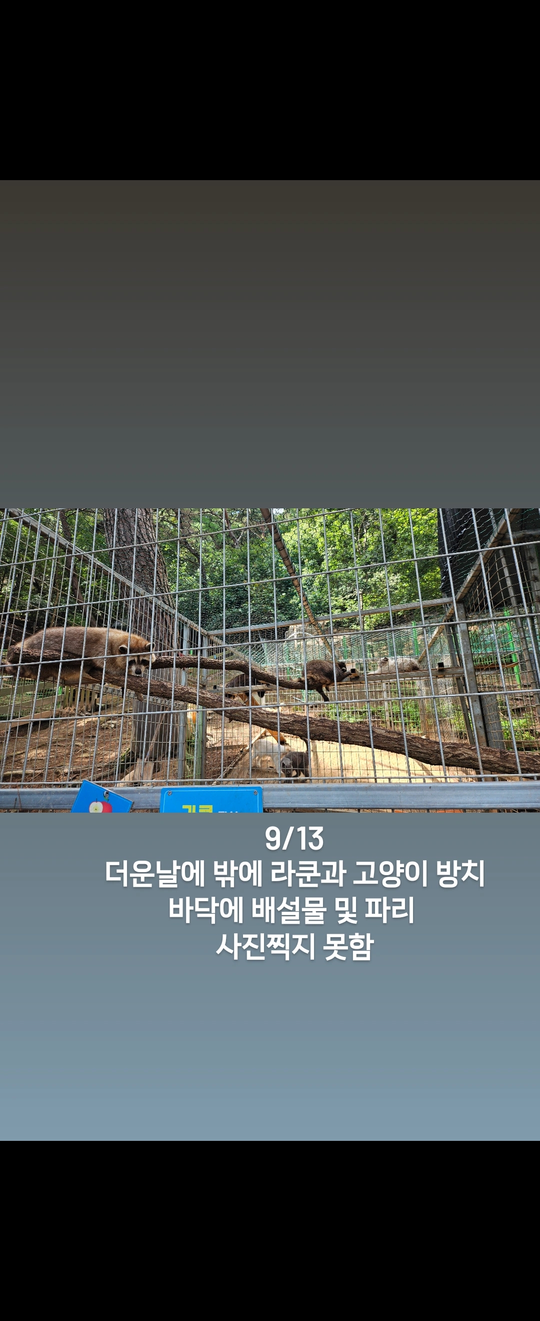 동물 방치 제보합니다