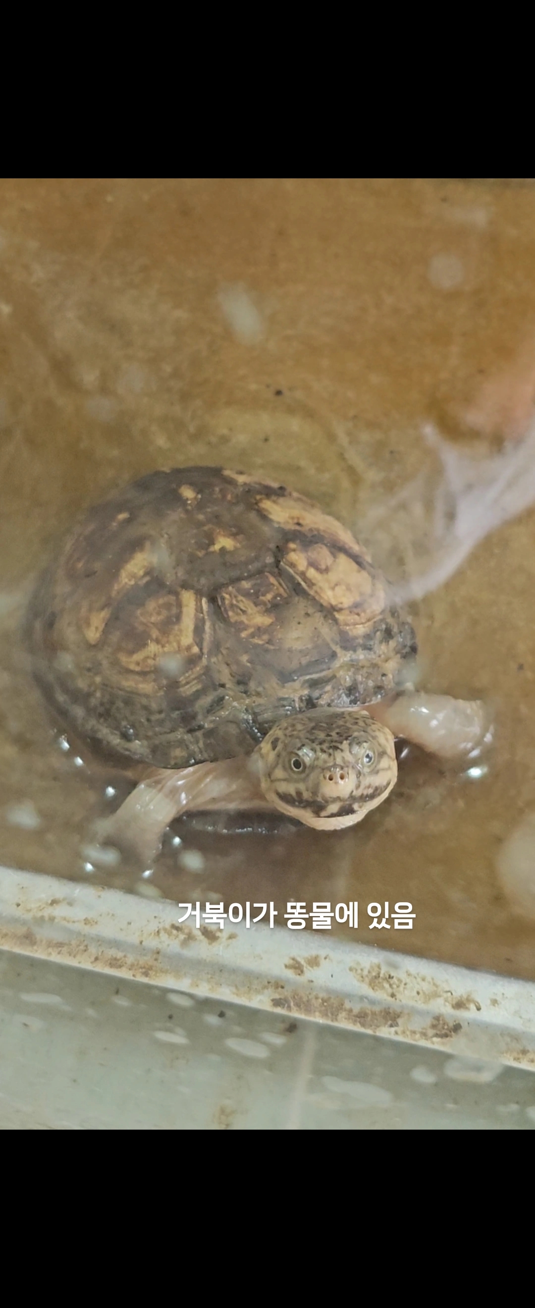 동물 방치 제보합니다