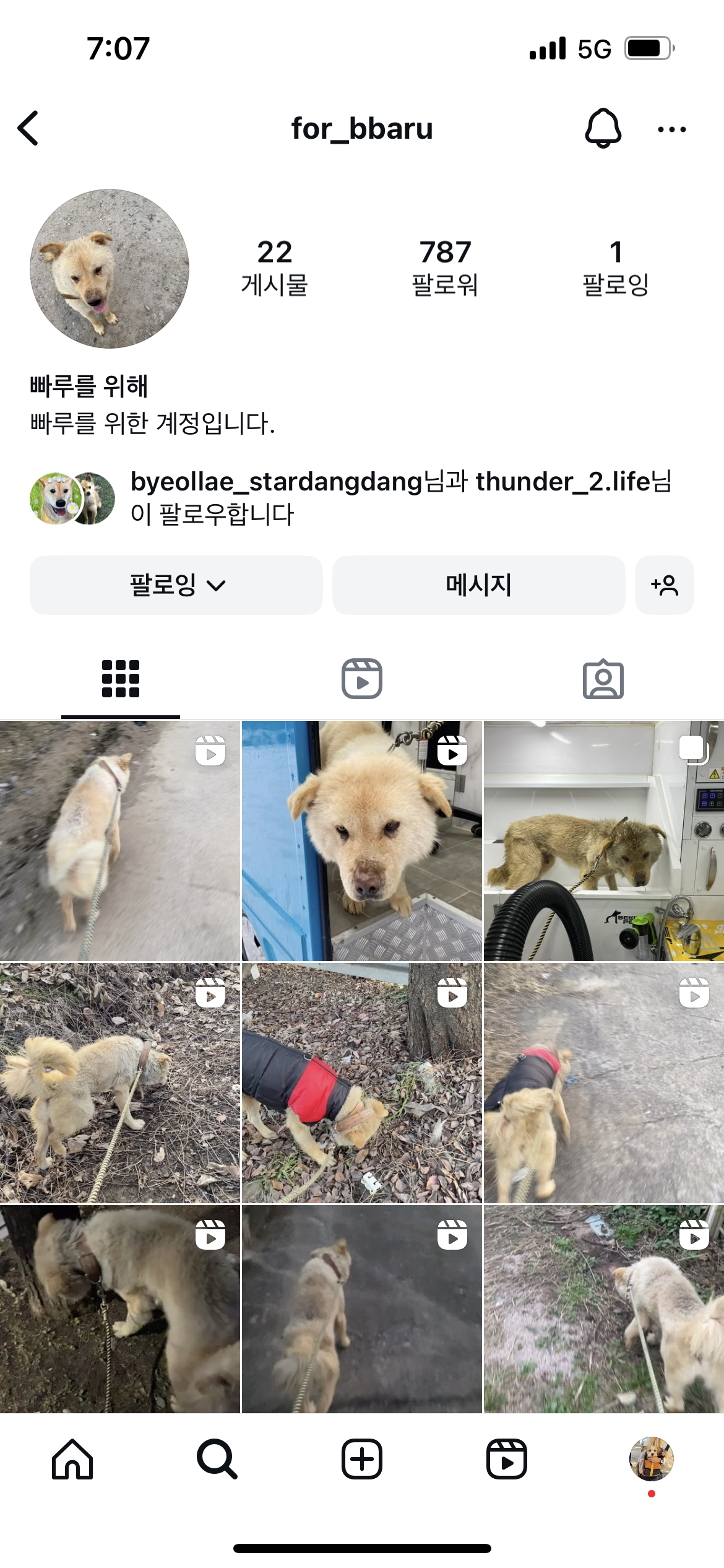 아천동 공장 방치견
