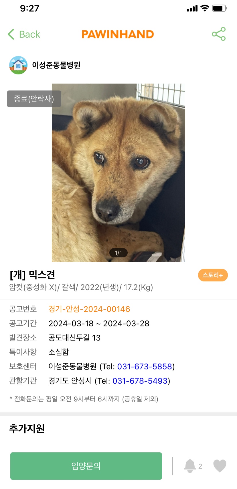 유기견 내장칩 검사, 안락사