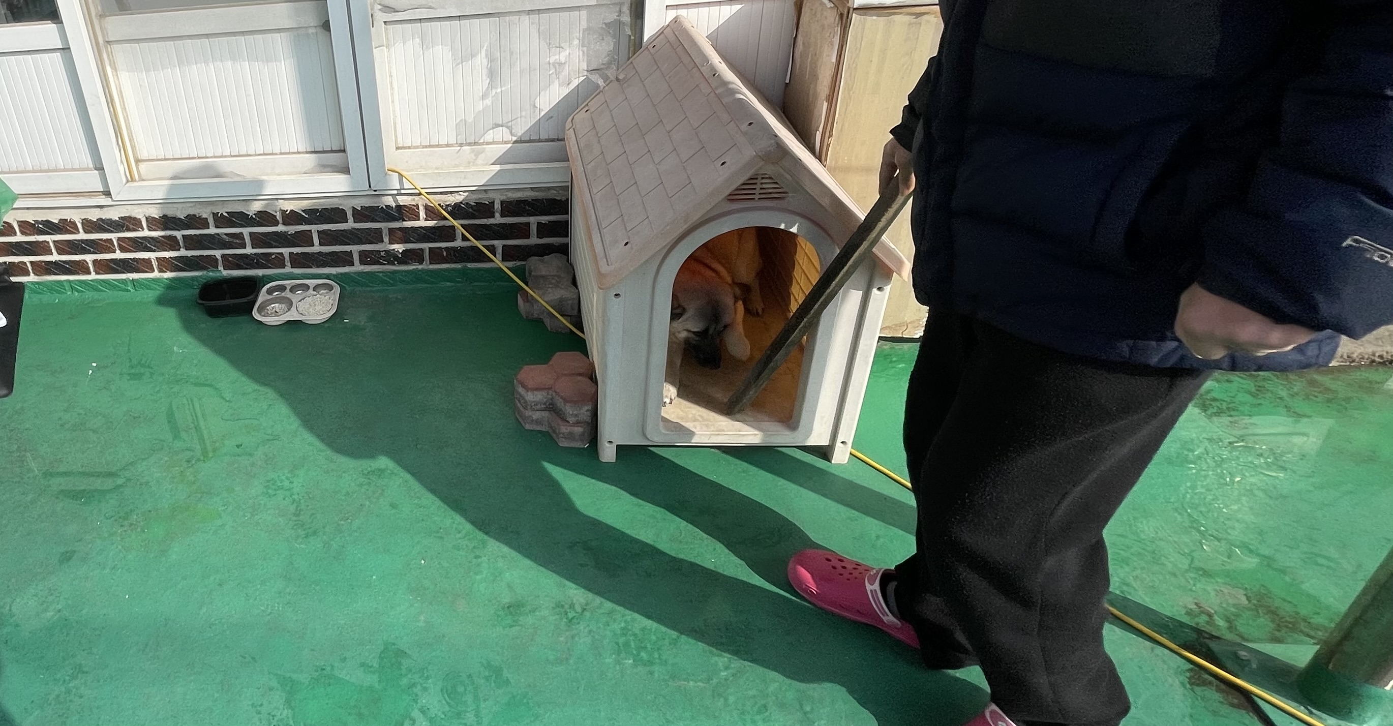 열악한 환경에서 방치되고 있는 강아지를 구조해주세요