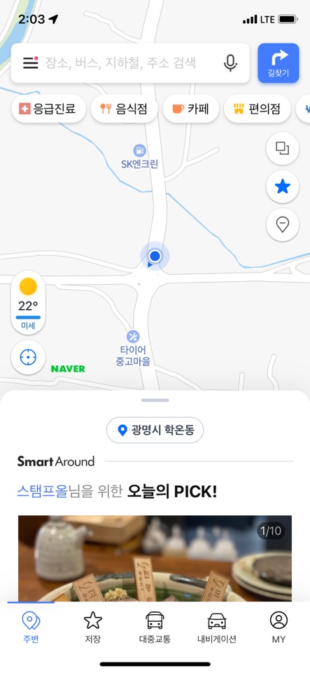 밤일로사거리에 뼛가죽이 드러난 강아지가 돌아다녀요