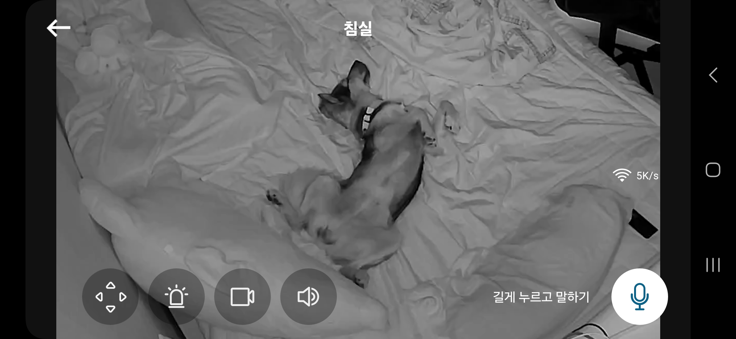 마리아는 잘지내요 저말고 마리아요