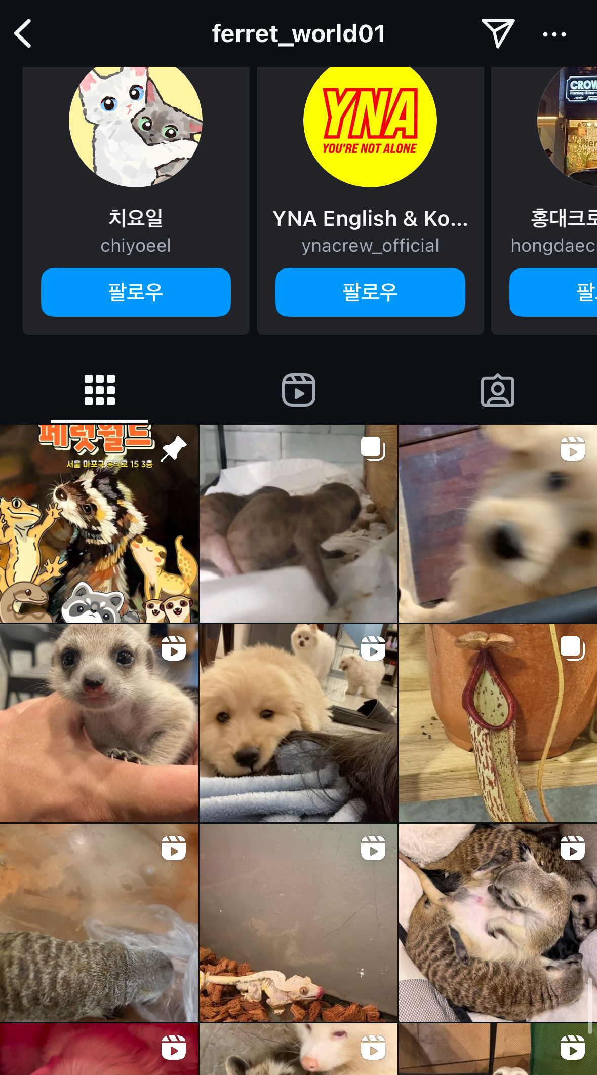 동물 학대범이 아직까지 운영하고 있는, 마포구 야생동물카페 페럿월드를 막아주세요.