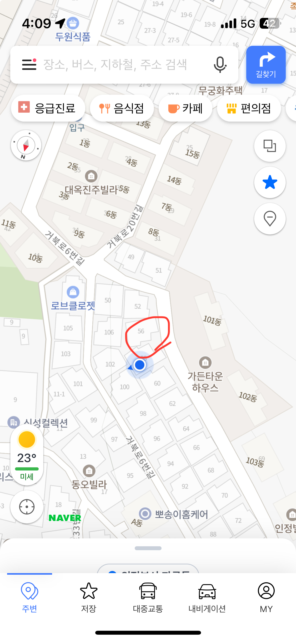 옥상에 방치견을 구해주세요