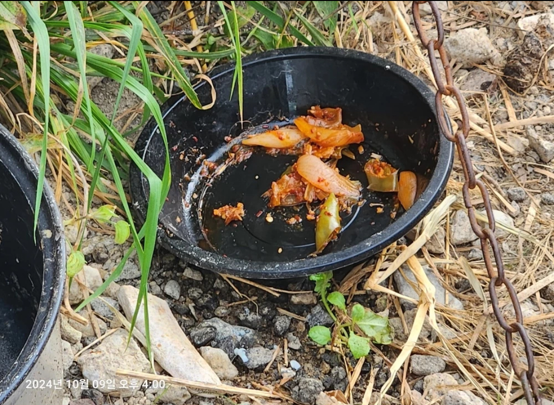 구조요청 부탁드려요 제발