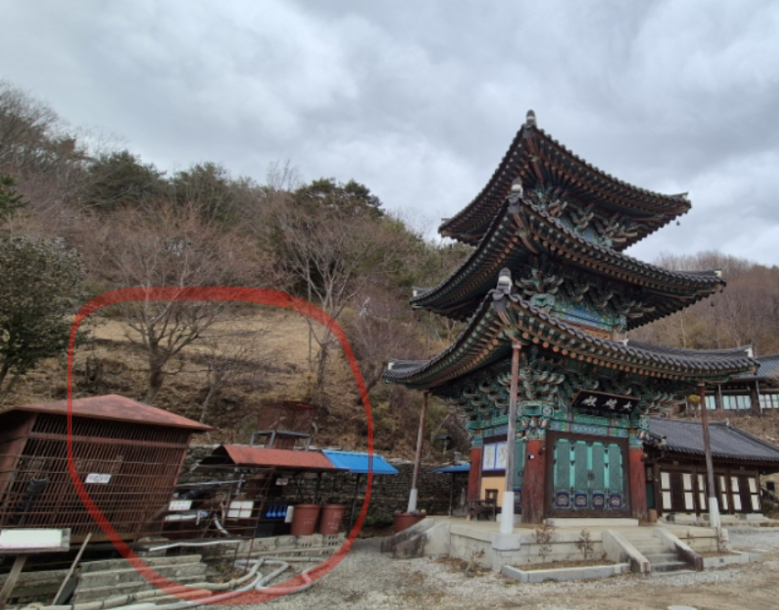 지리산 반달곰을 구해주세요 