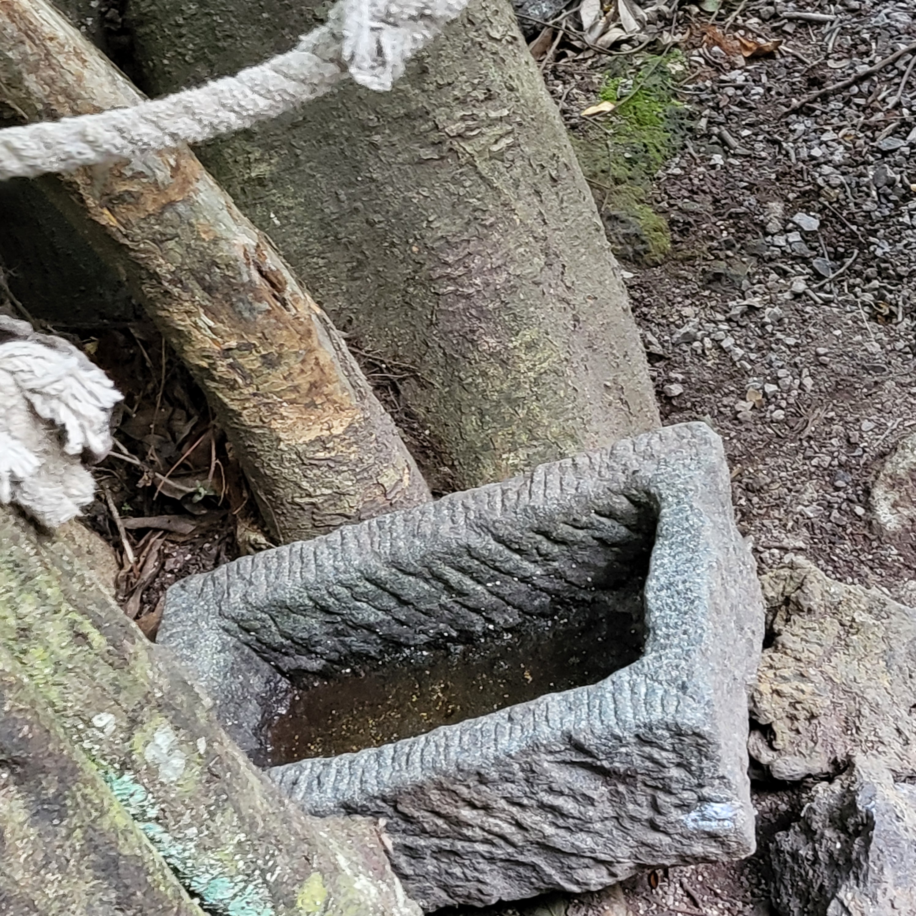 제주도 산양큰엉곶 달구지 체험 말을 구해주세요