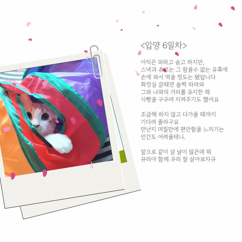 뀨리이야기 1.