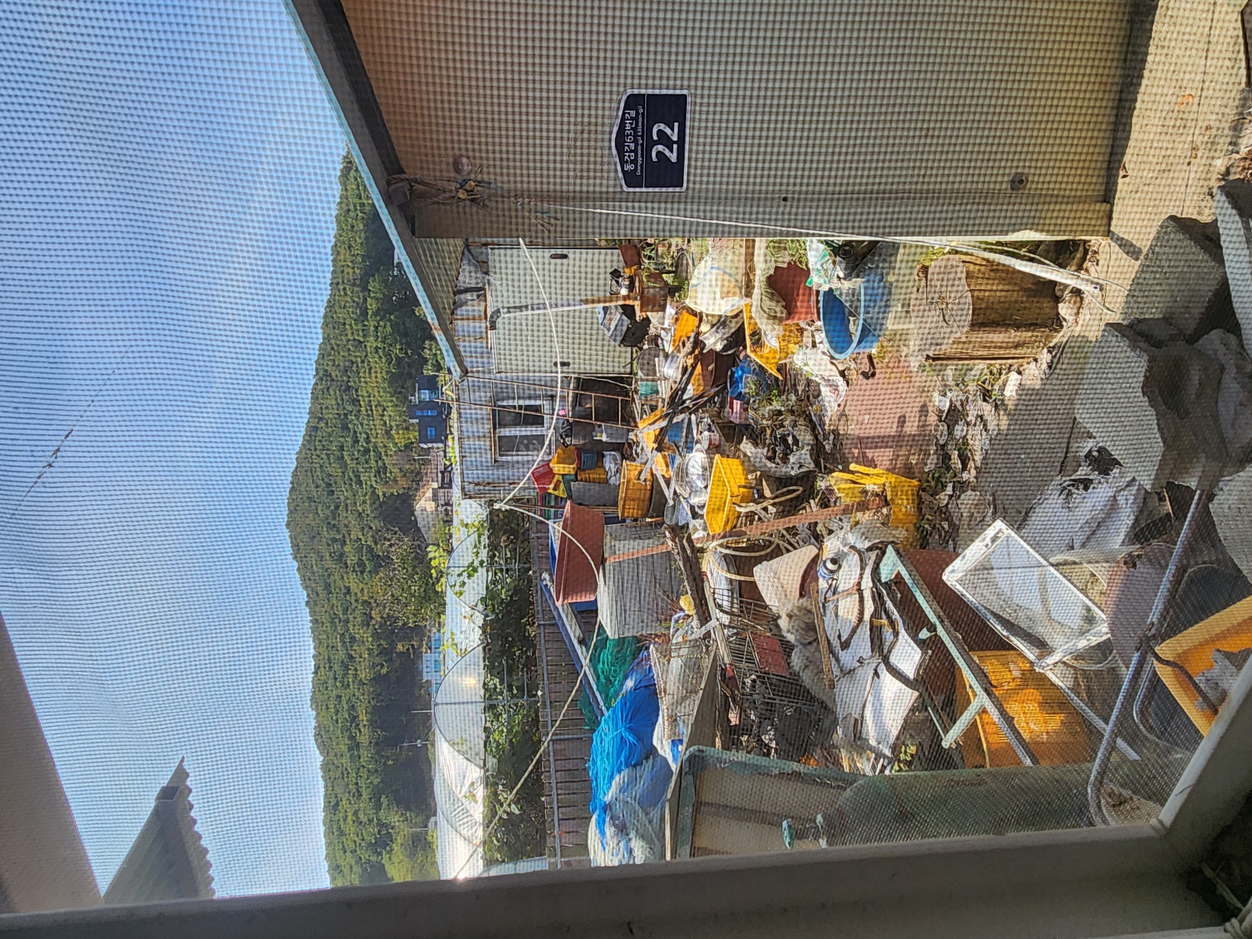 방치 학대 도와주세요ㅜㅜ