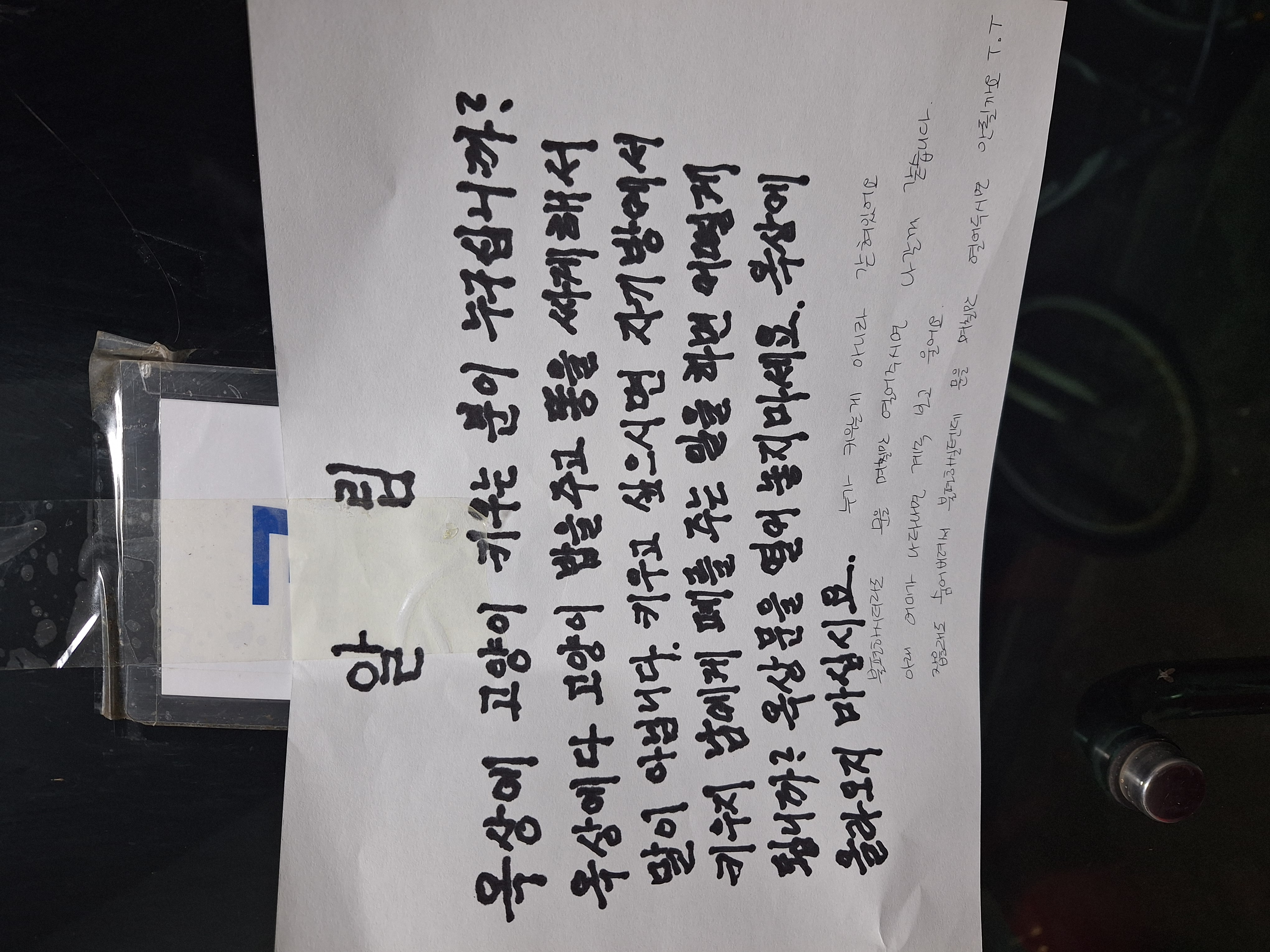 은평구 빌라 옥상에 고양이가 갇힌 것 같습니다.
