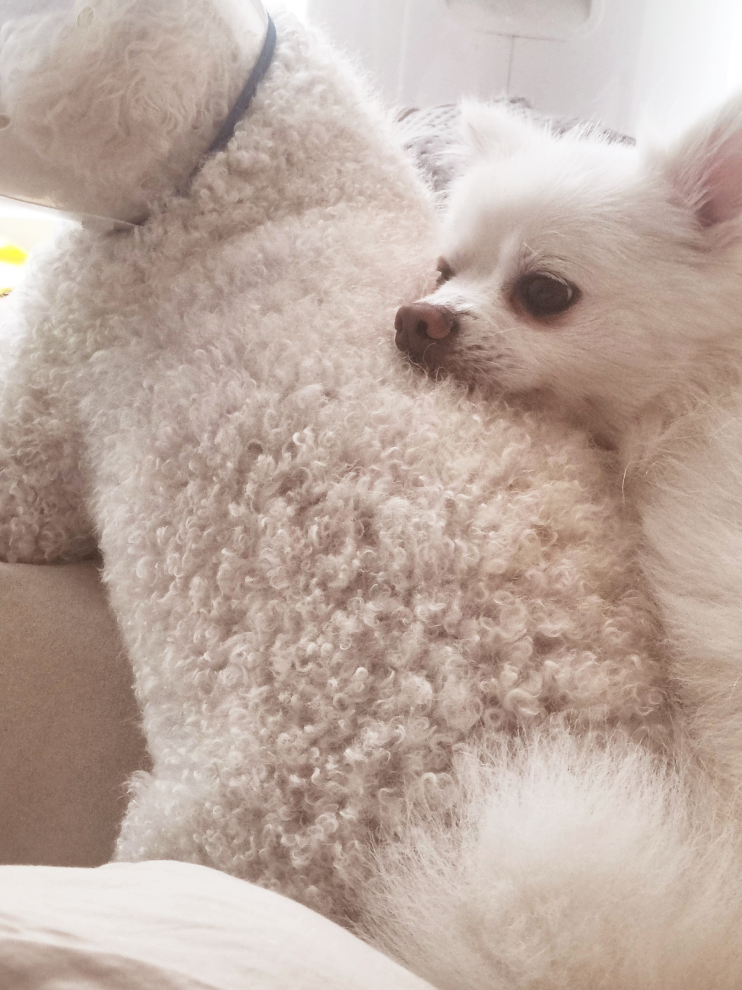 오랜만에 나리 소식입니다~