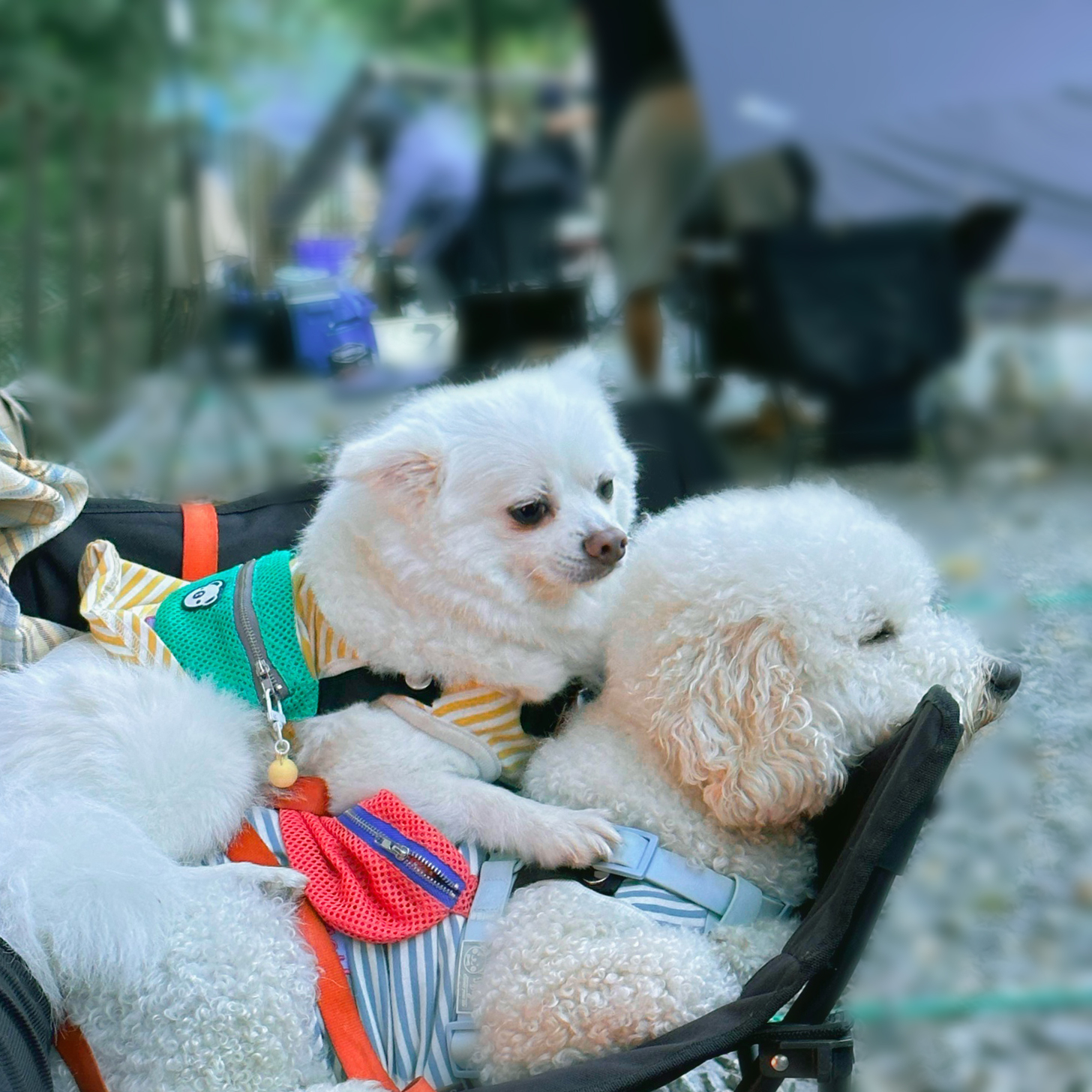 오랜만에 나리 소식입니다~