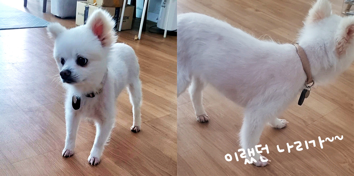 오랜만에 나리 소식입니다~