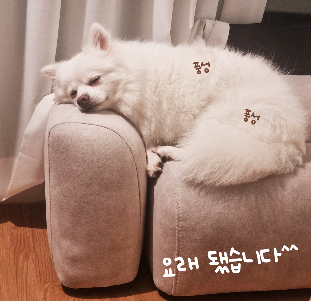 오랜만에 나리 소식입니다~