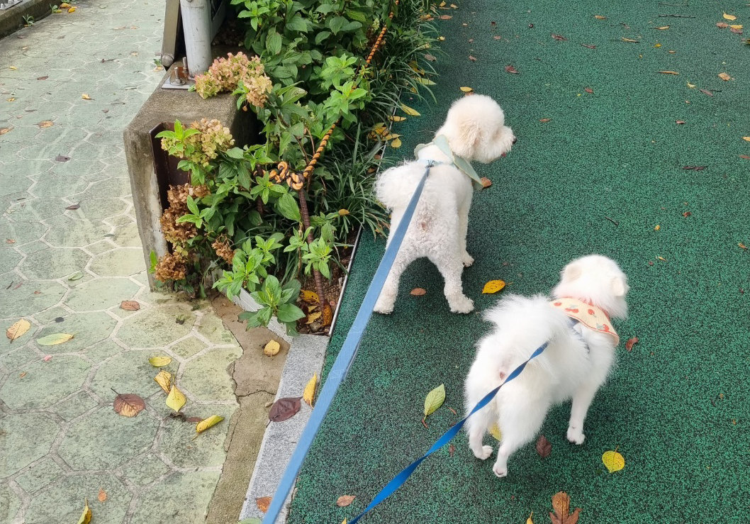 오랜만에 나리 소식입니다~
