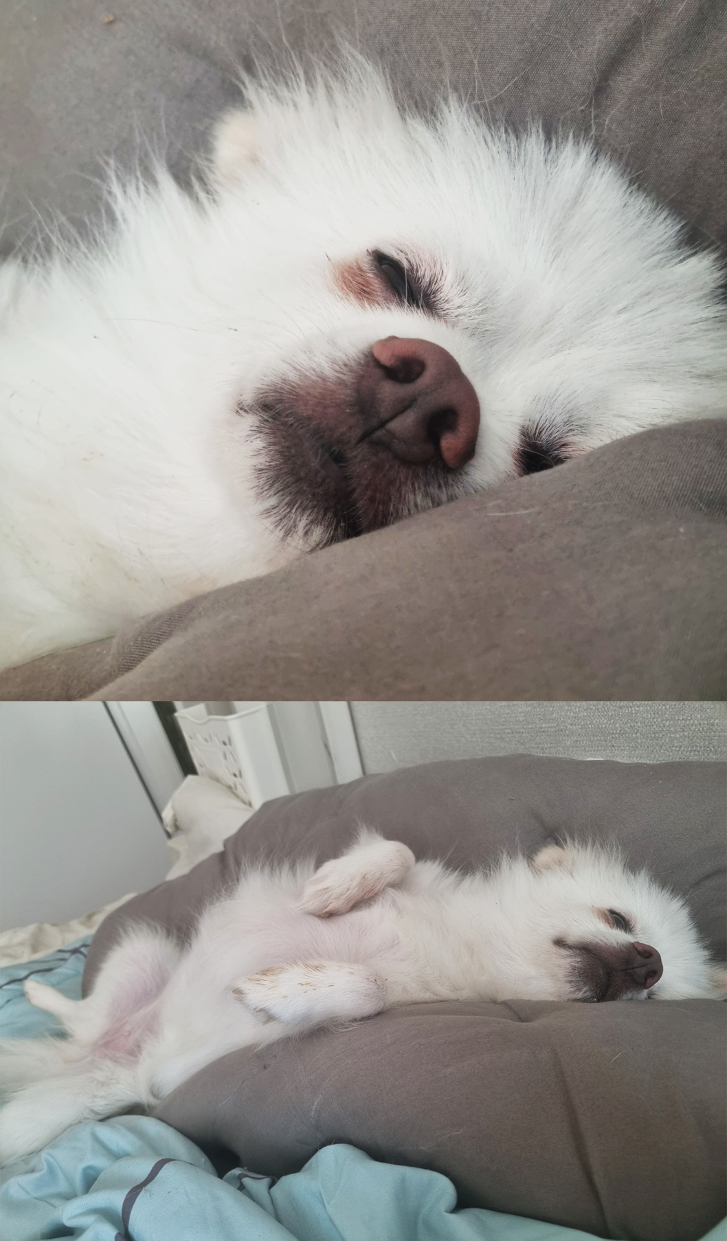 오랜만에 나리 소식입니다~