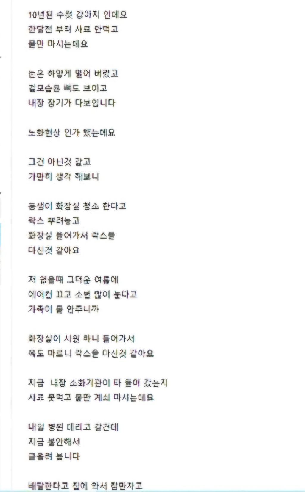 동물 학대 제보