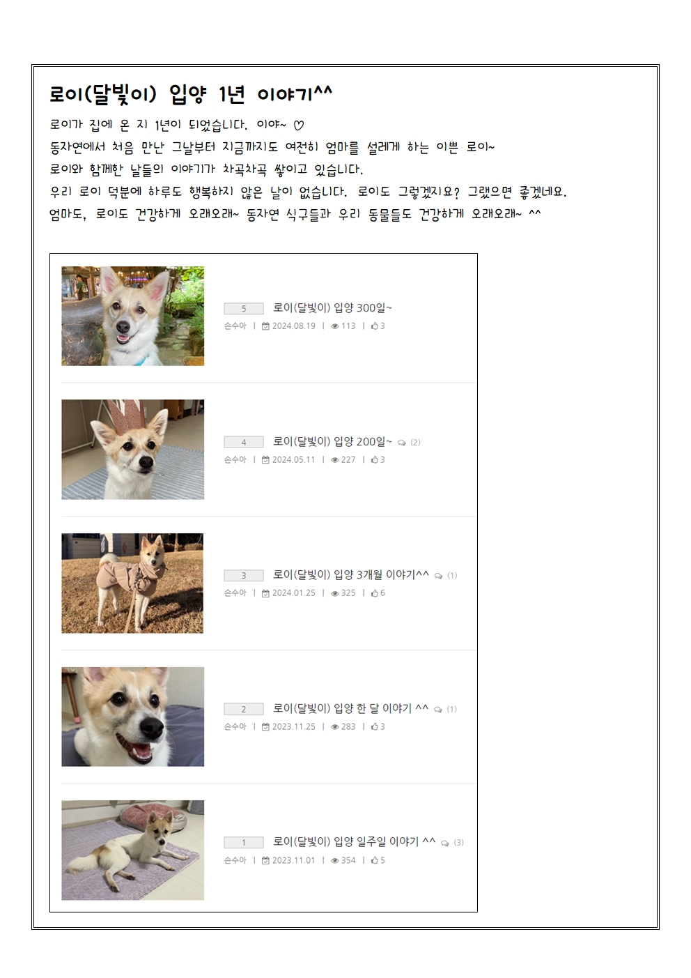 로이(달빛이) 입양 1년 이야기^^