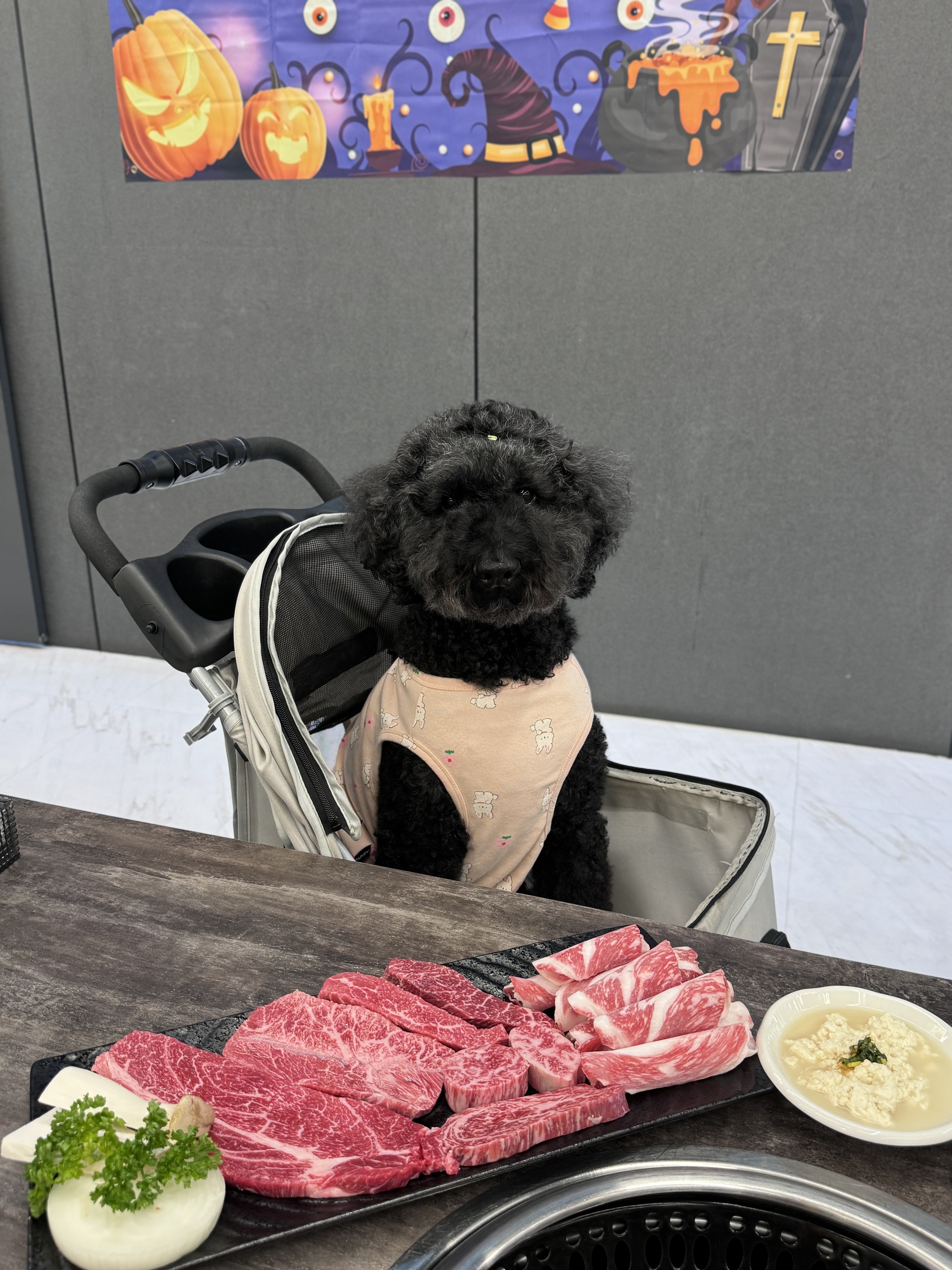 헤라와 심쿵이(구 양일이)이야기