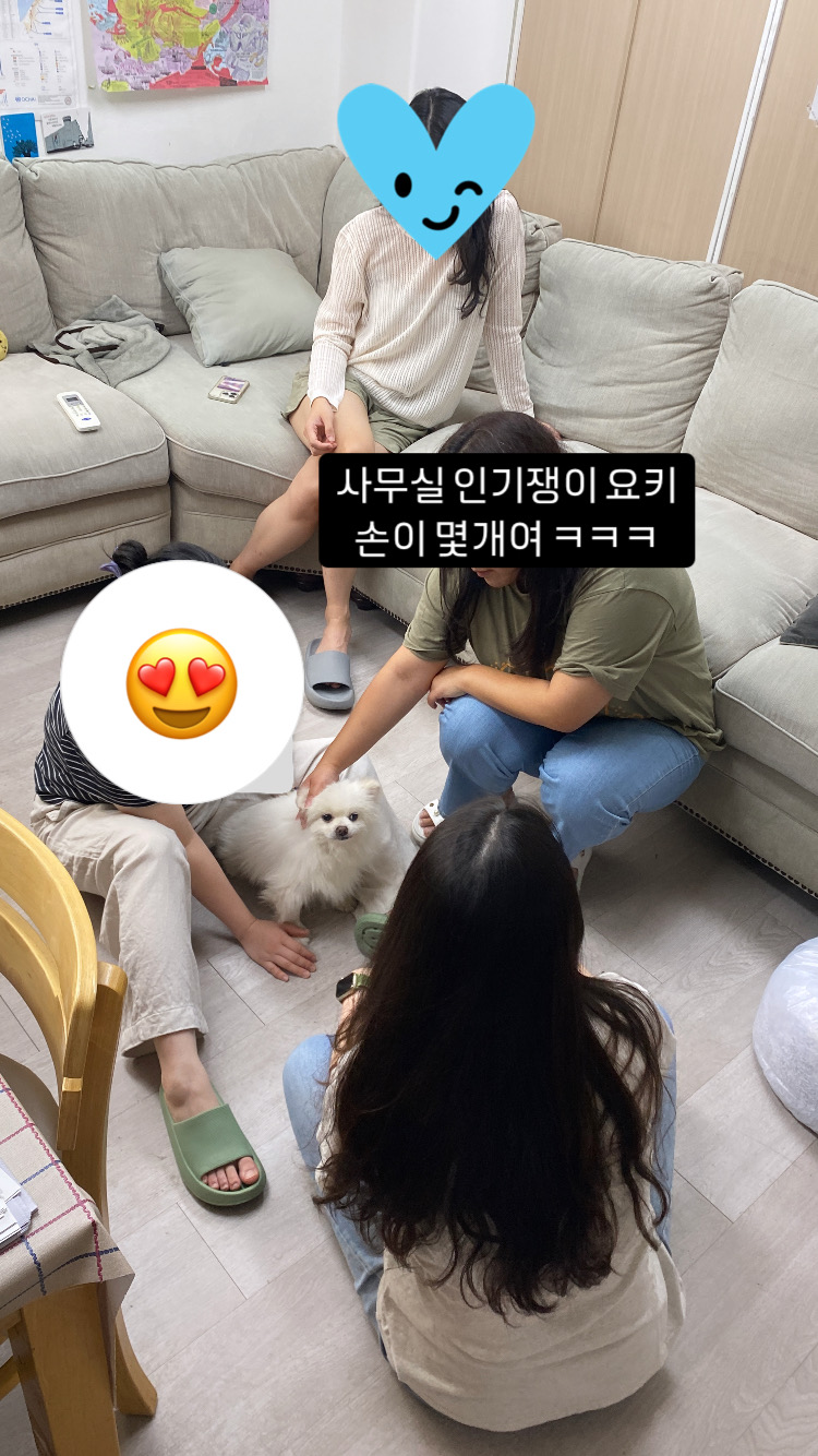 요키를 임보하고 있어요 