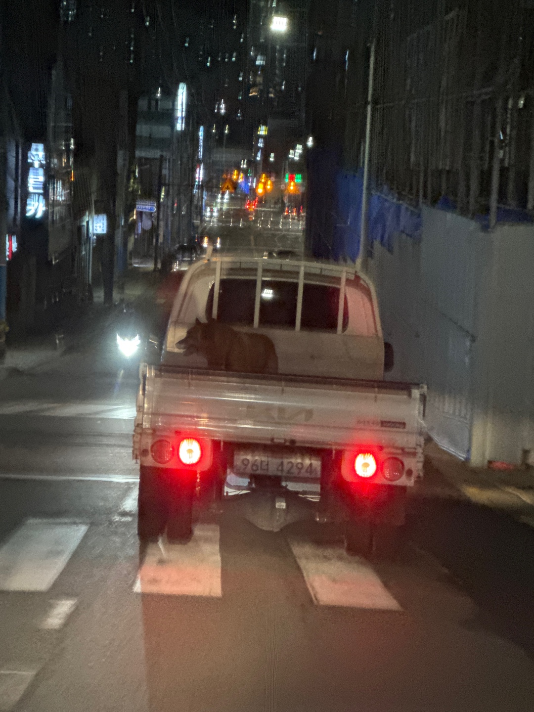 강아지를 트럭 뒤에 태움
