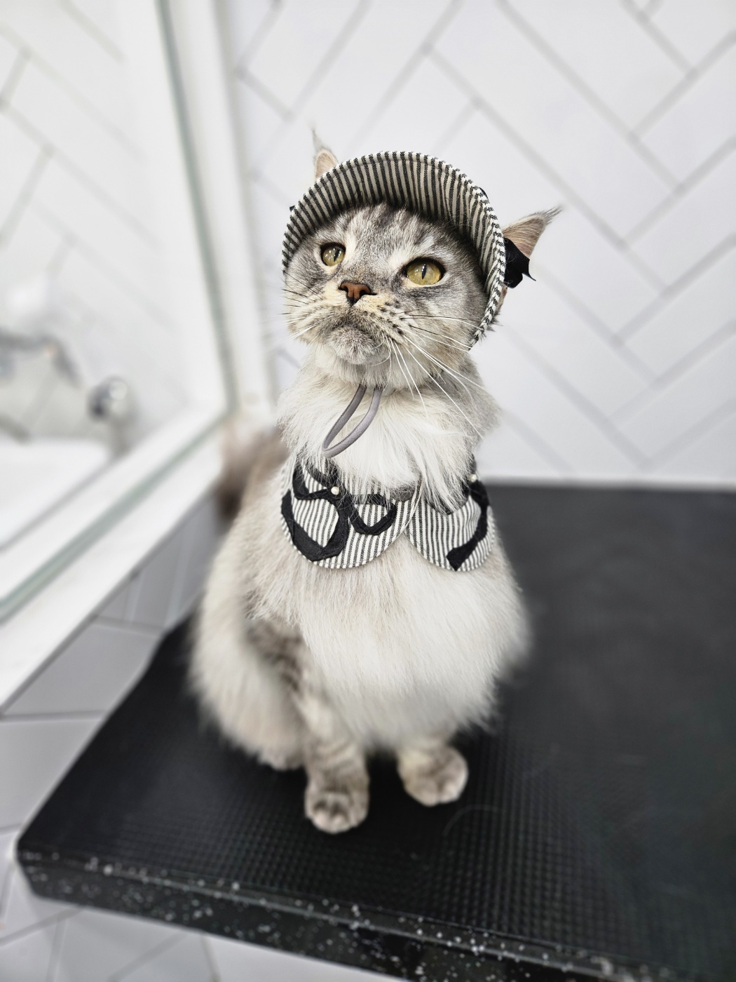 이슬이(레이) 너무 잘지냅니다