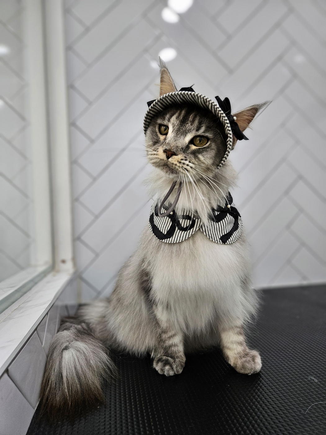 이슬이(레이) 너무 잘지냅니다
