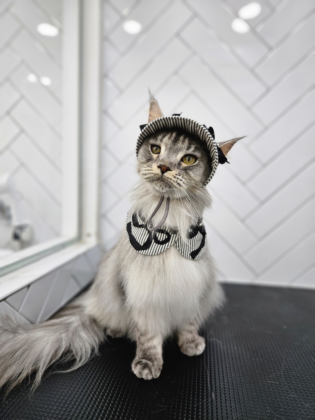 이슬이(레이) 너무 잘지냅니다