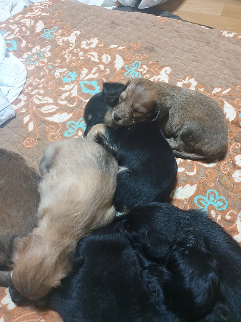 도움이 필요할 것 같습니다..