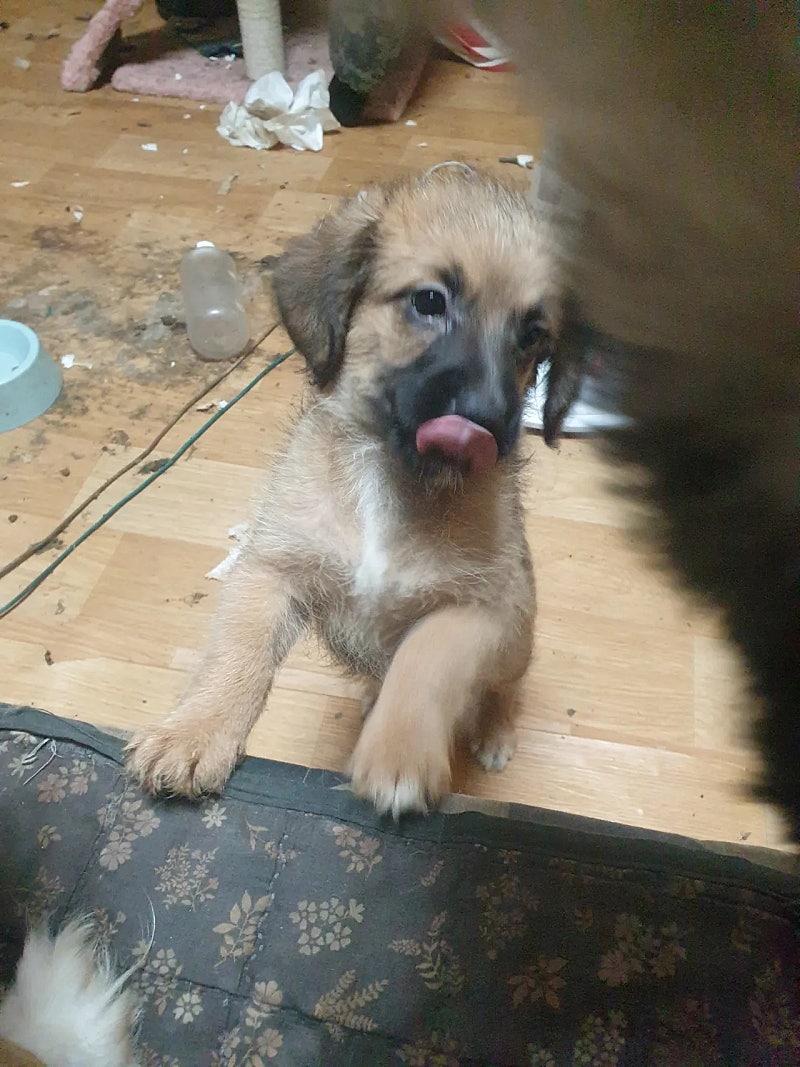 도움이 필요할 것 같습니다..