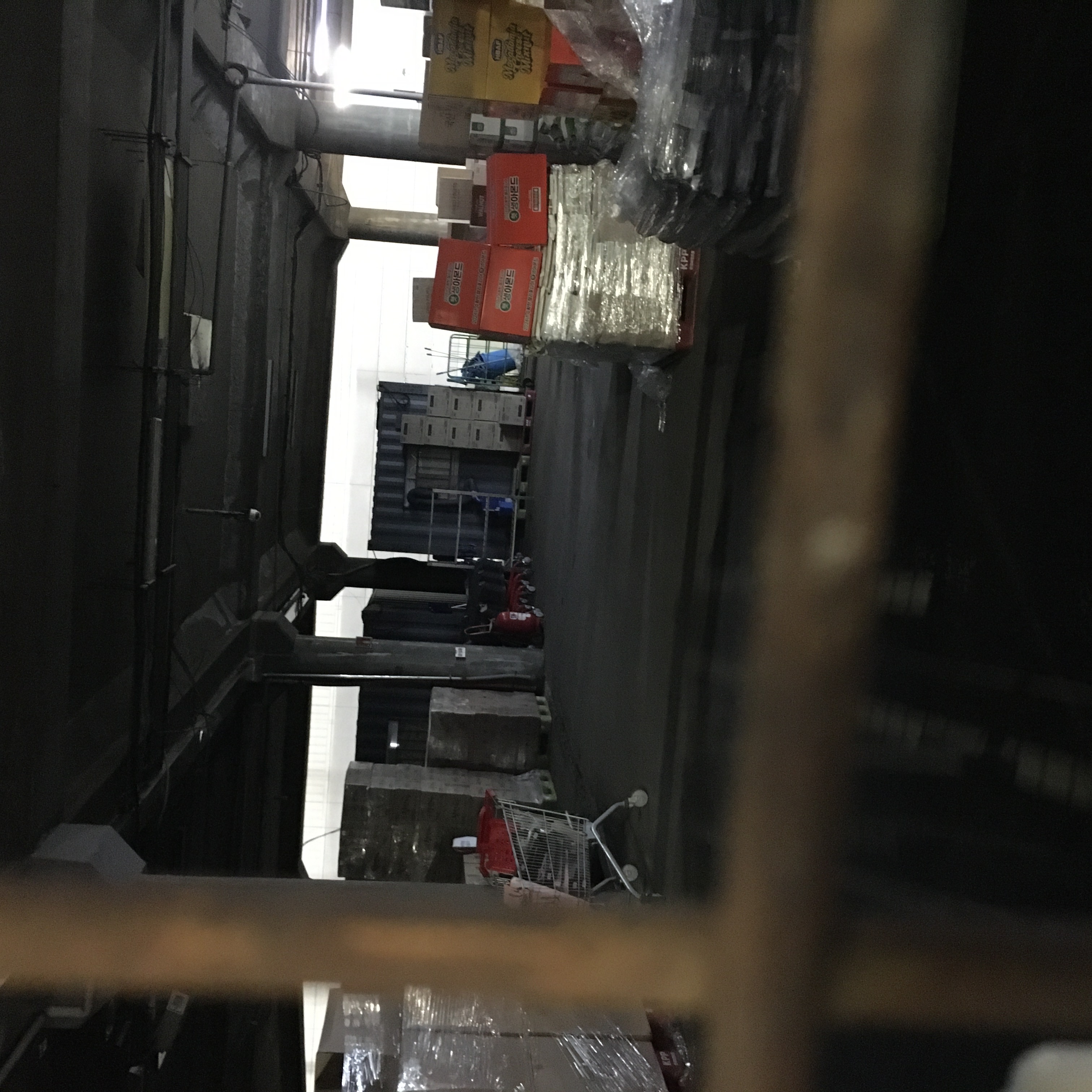 길고양이 불법 포획 및 학대