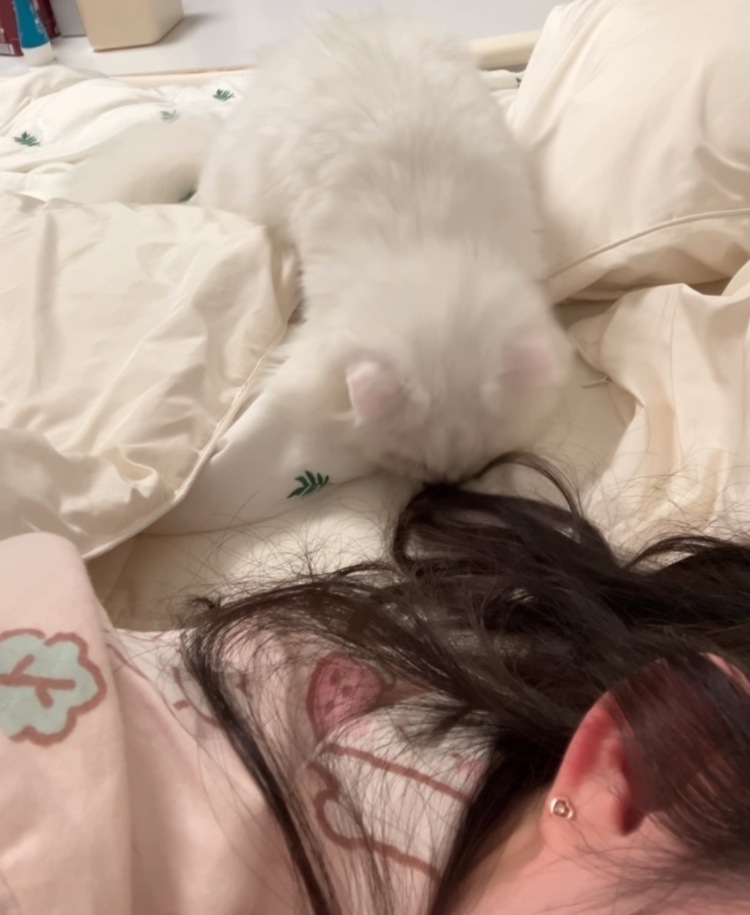 퉁퉁이(샤브)의 한달